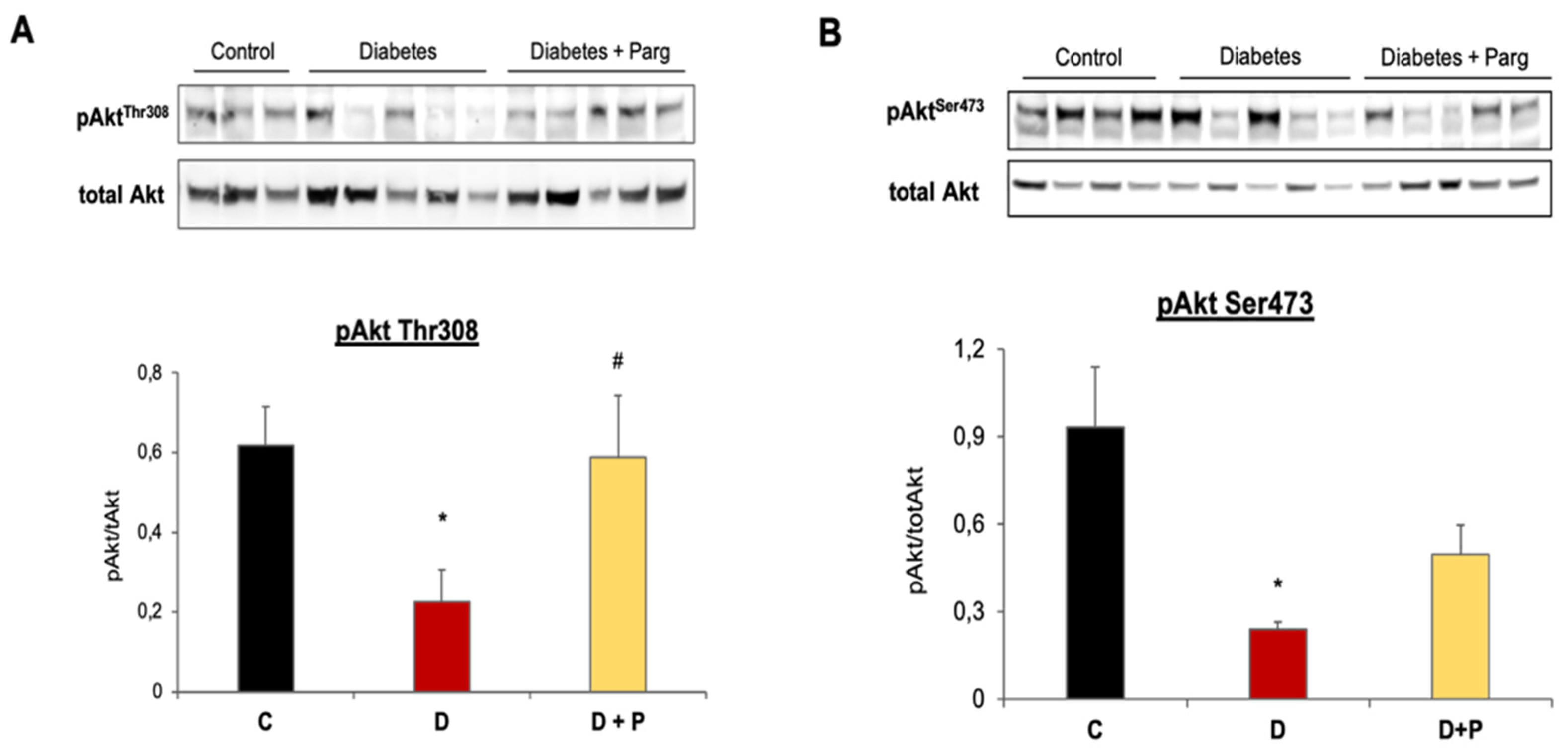 Cells 11 02697 g007 Cells 11 02697 g007