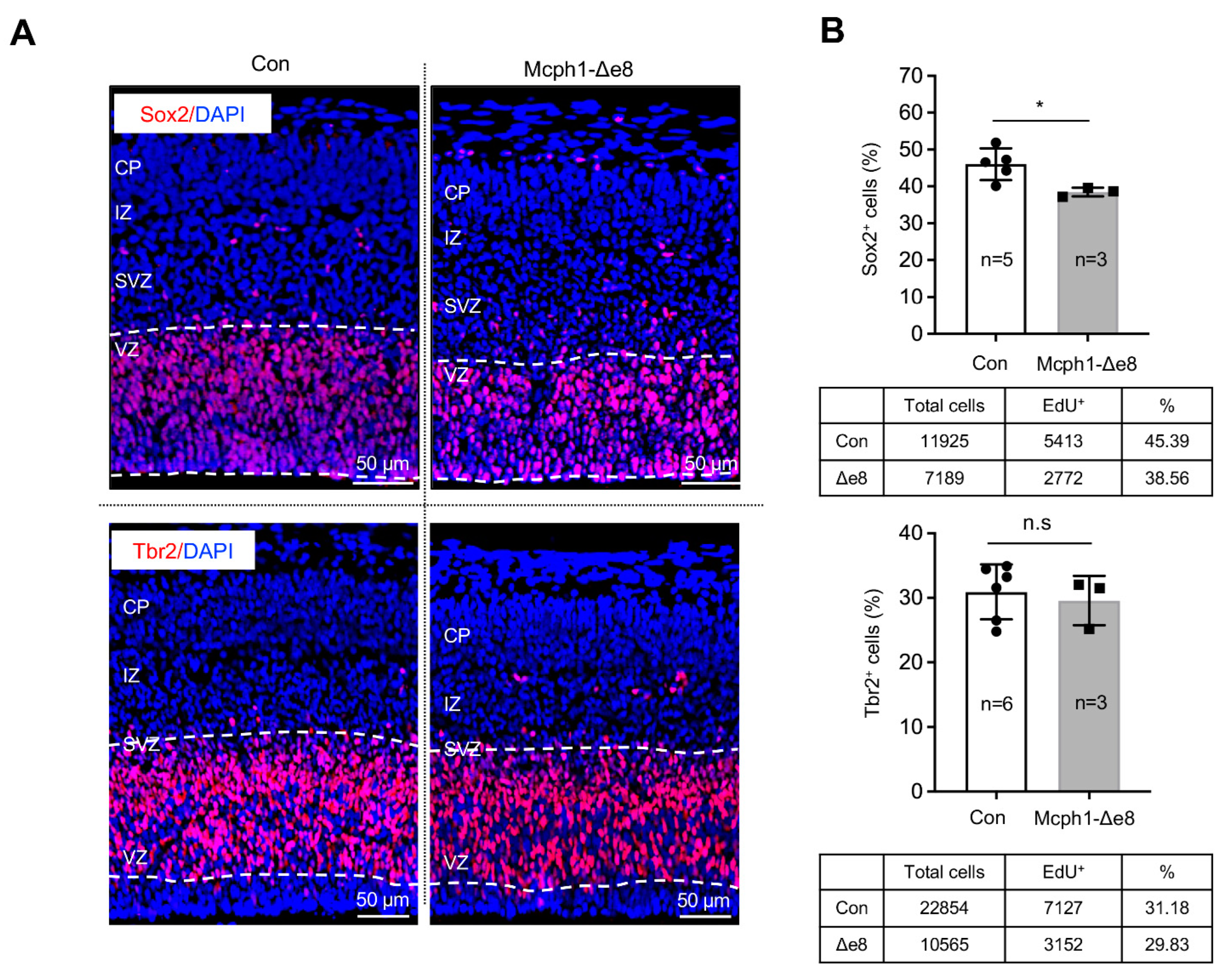 Cells 11 02715 g003 Cells 11 02715 g003