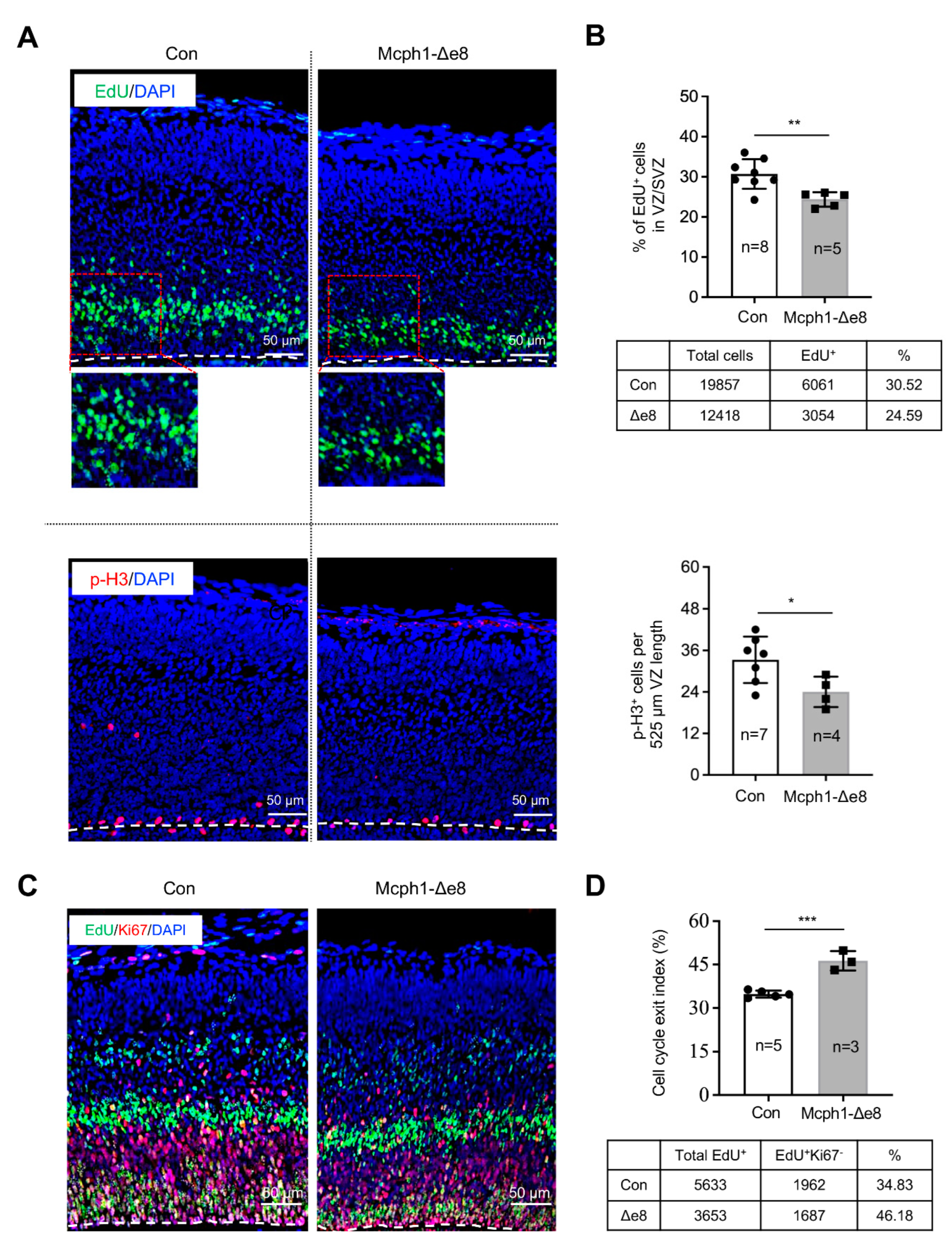 Cells 11 02715 g004 Cells 11 02715 g004