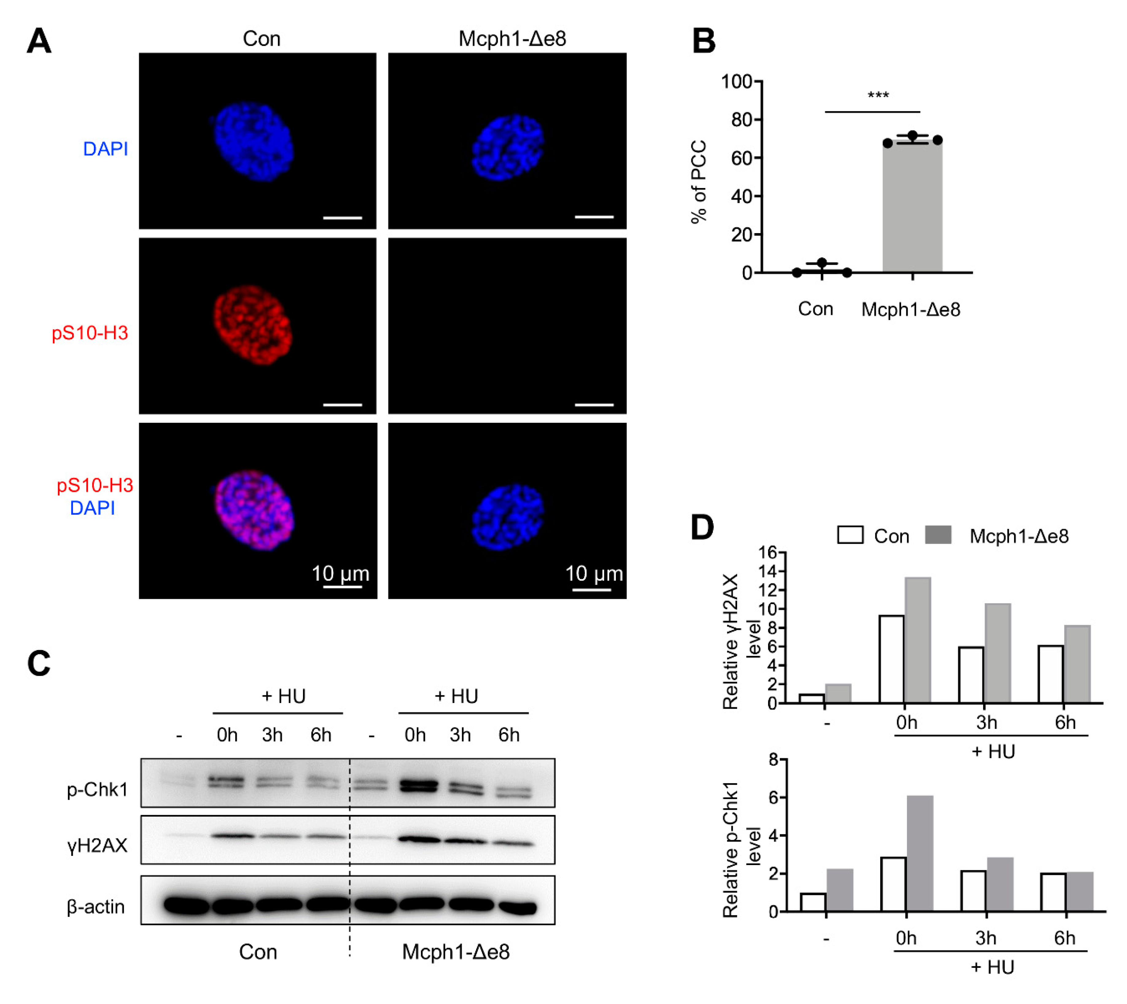 Cells 11 02715 g005 Cells 11 02715 g005