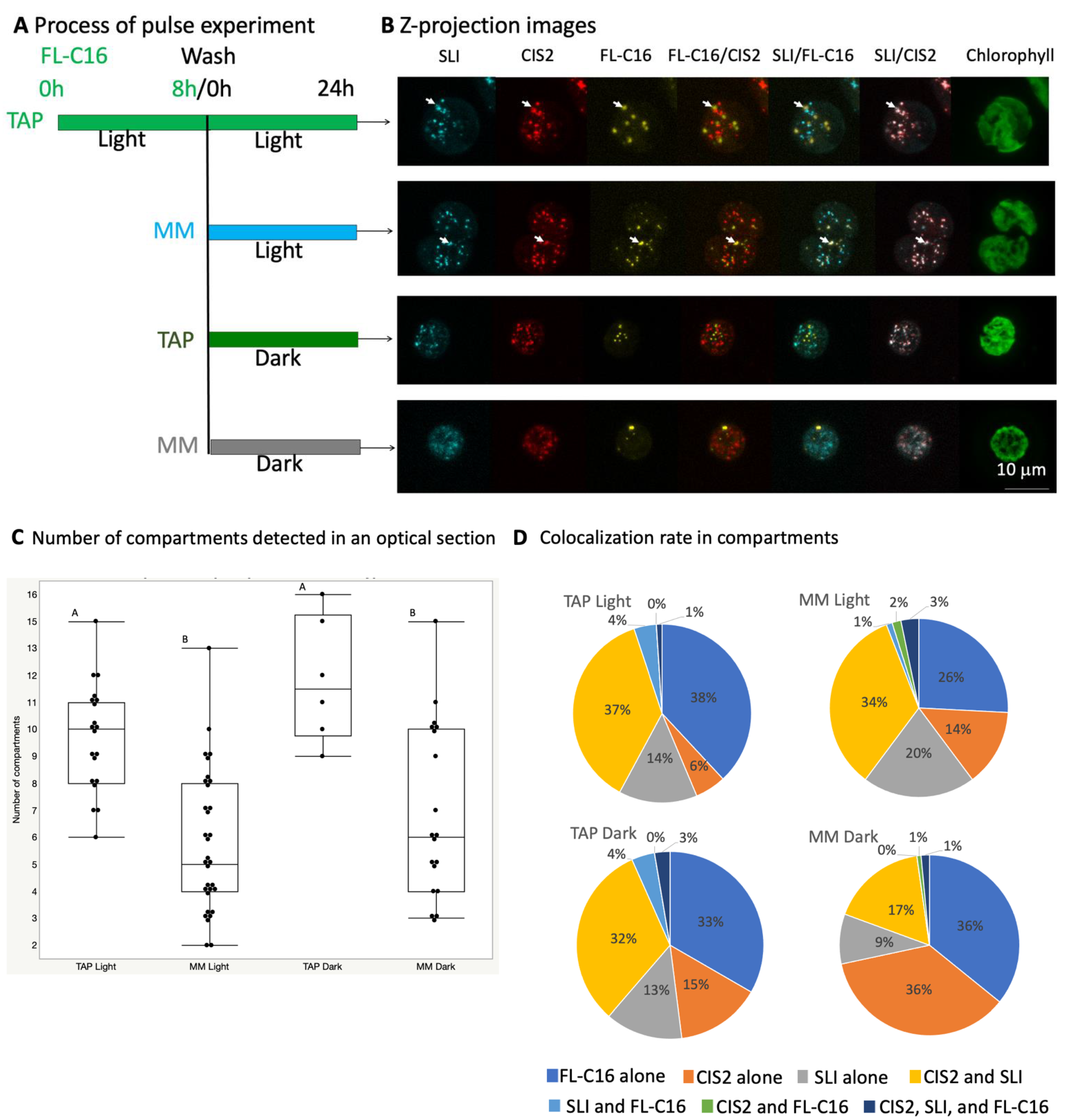 Cells 11 02724 g003