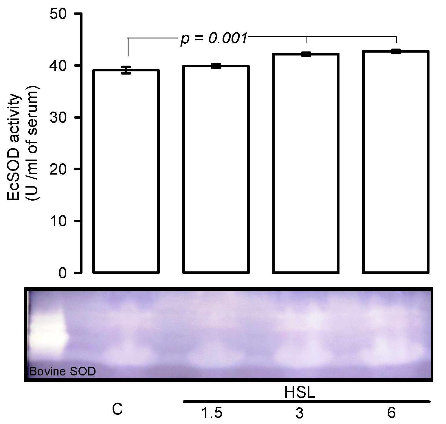 Cells 11 02774 g003 Cells 11 02774 g003