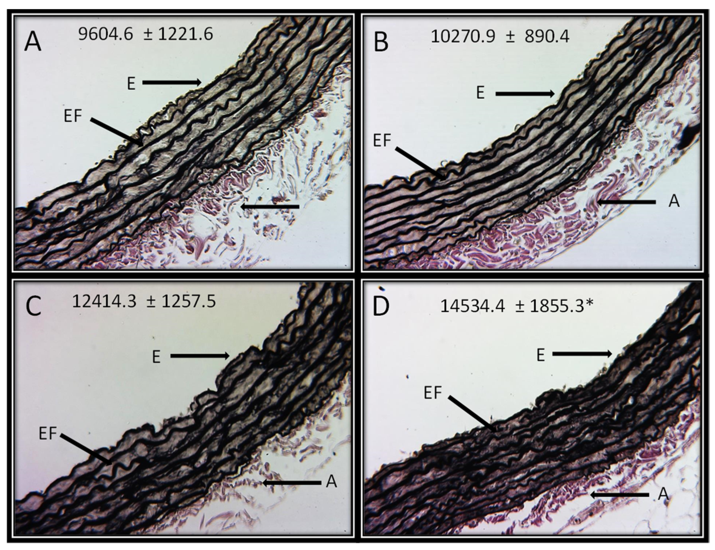 Cells 11 02774 g004 Cells 11 02774 g004