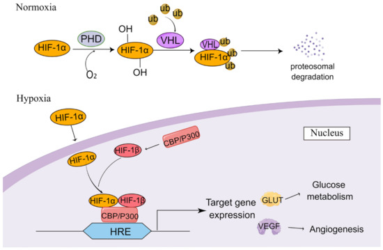 Cells 11 02811 g0a2 550