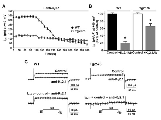 Cells 11 02820 g003a