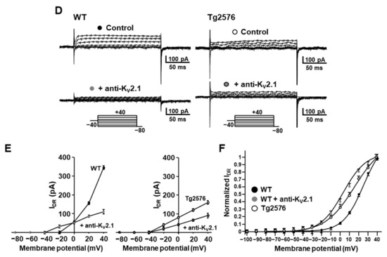 Cells 11 02820 g003b
