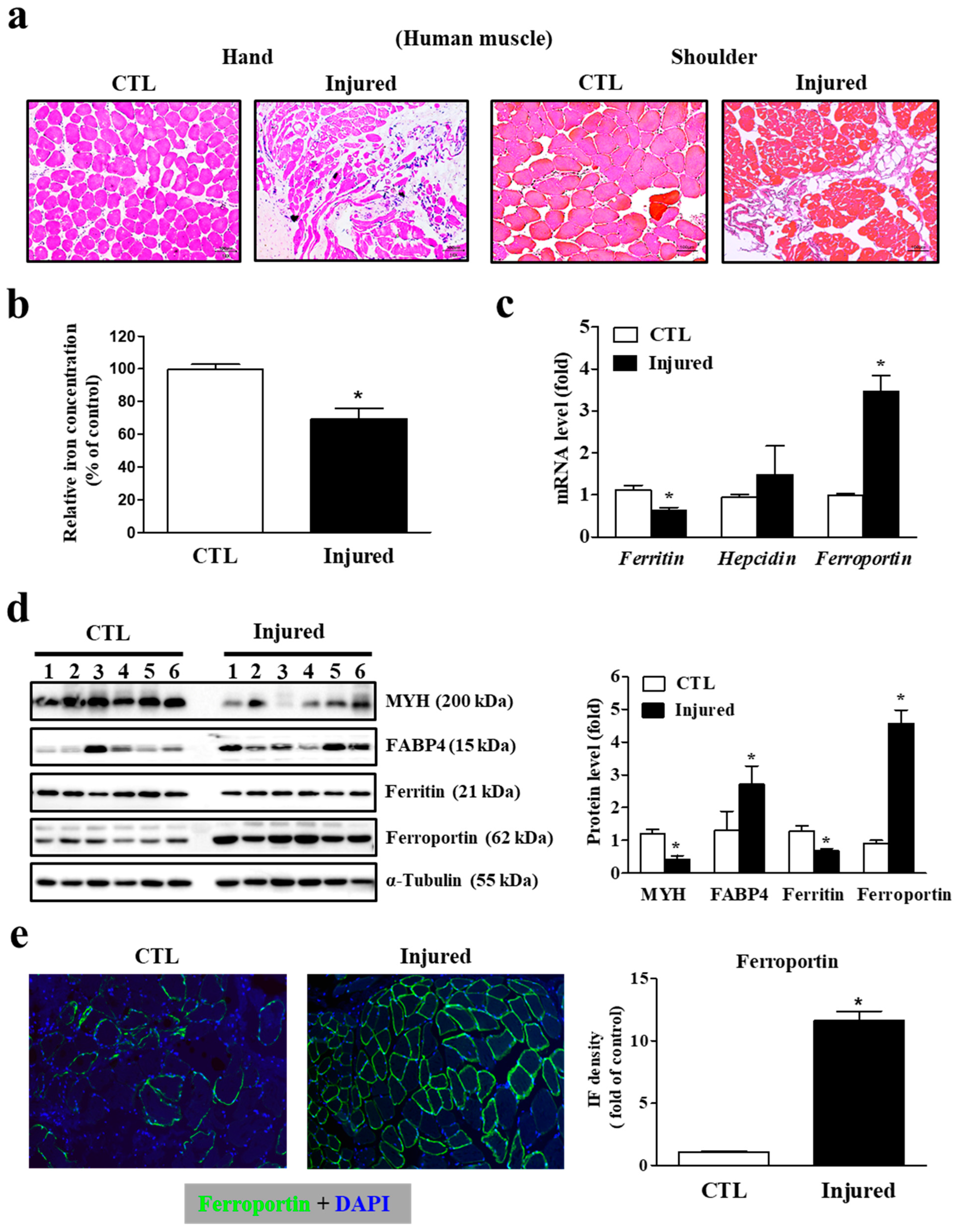 Cells 11 02853 g002