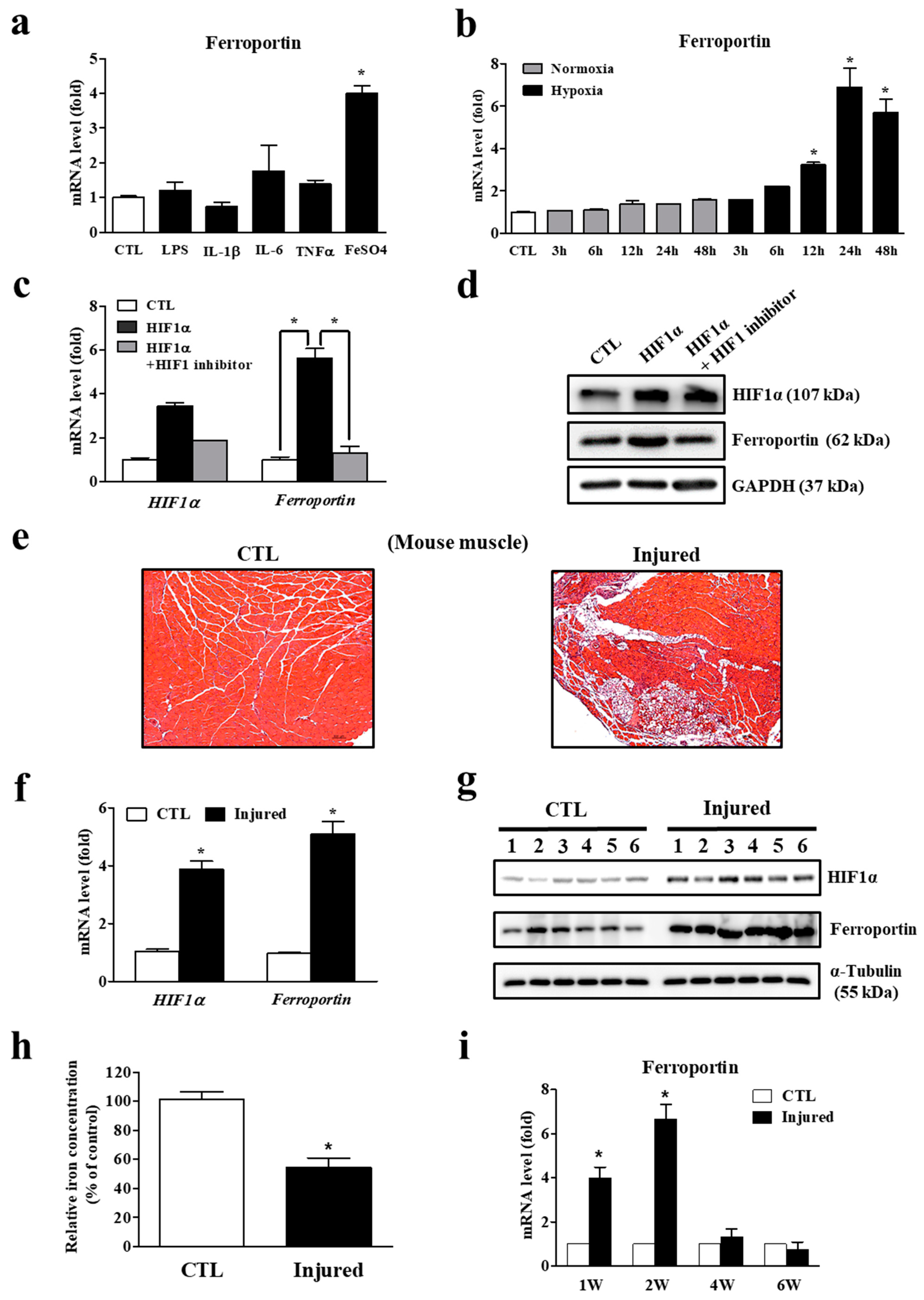 Cells 11 02853 g003