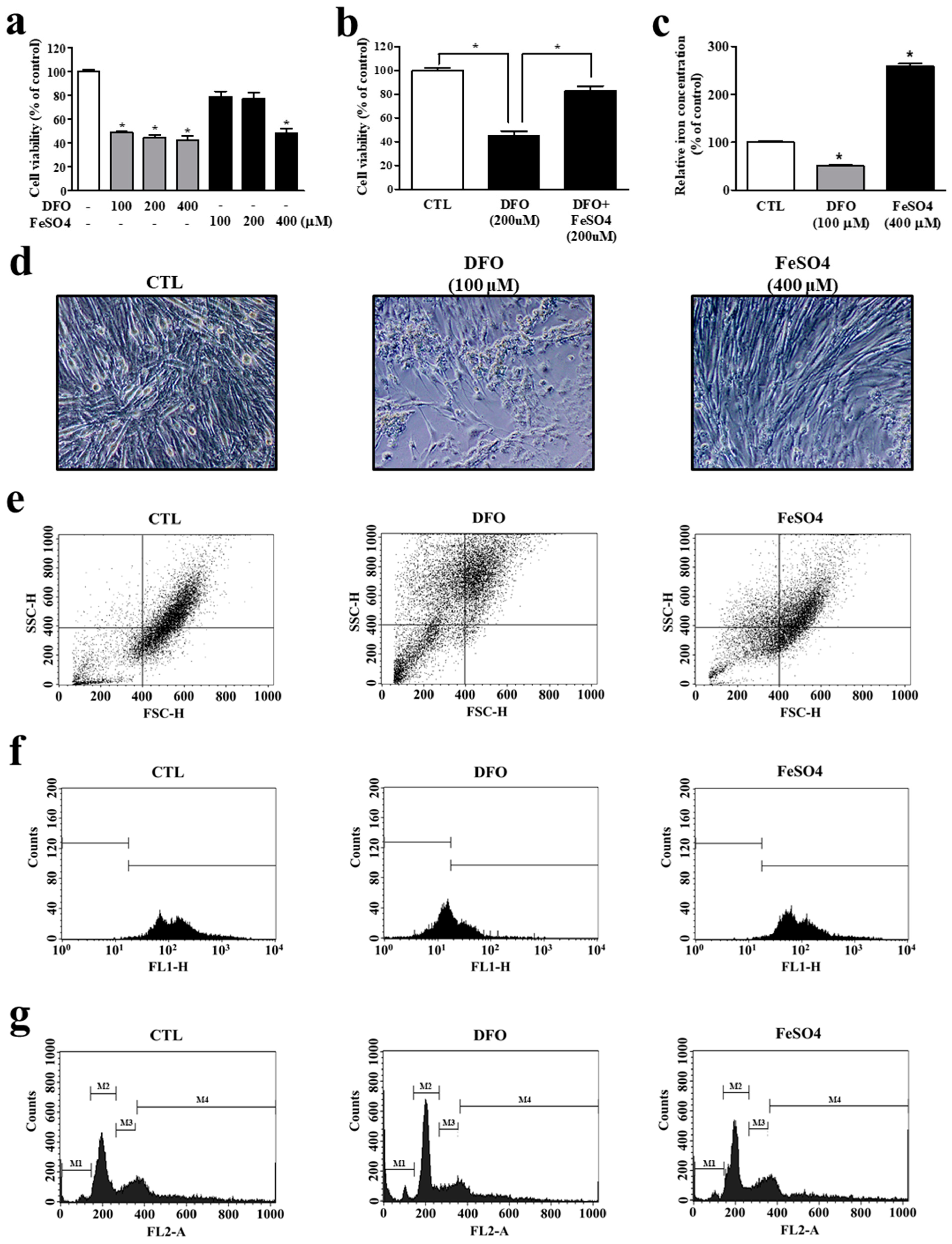 Cells 11 02853 g004