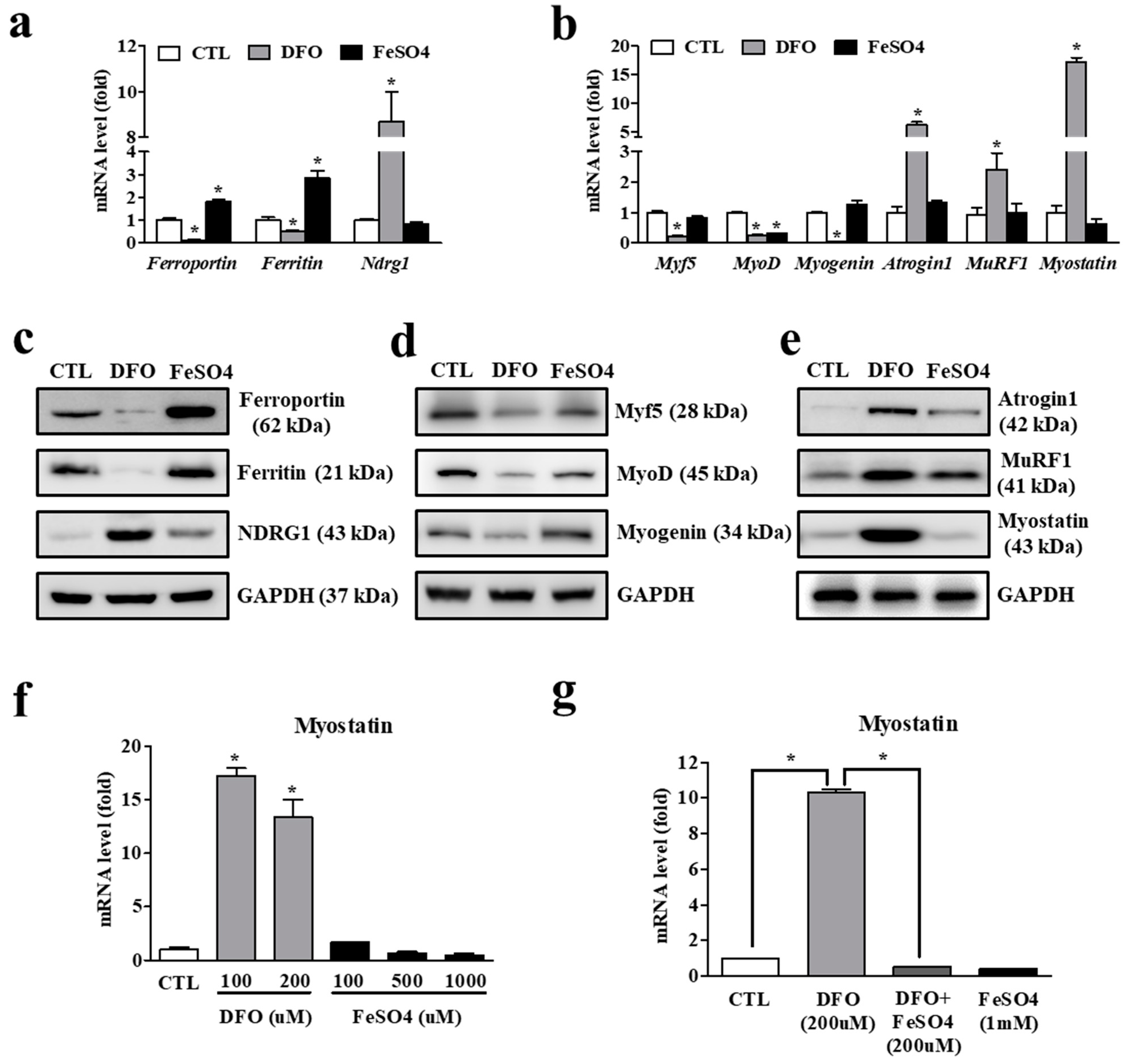 Cells 11 02853 g005