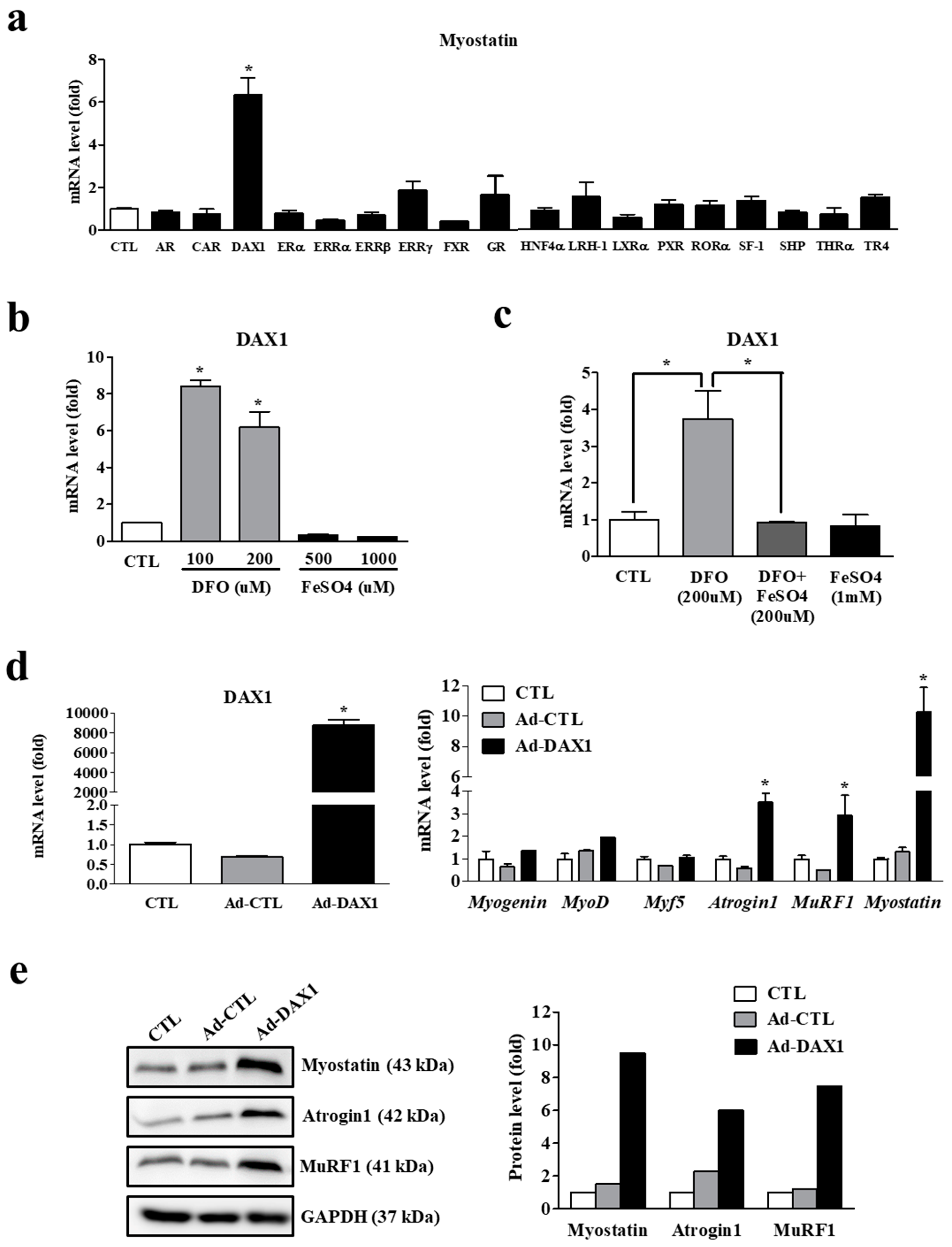 Cells 11 02853 g006