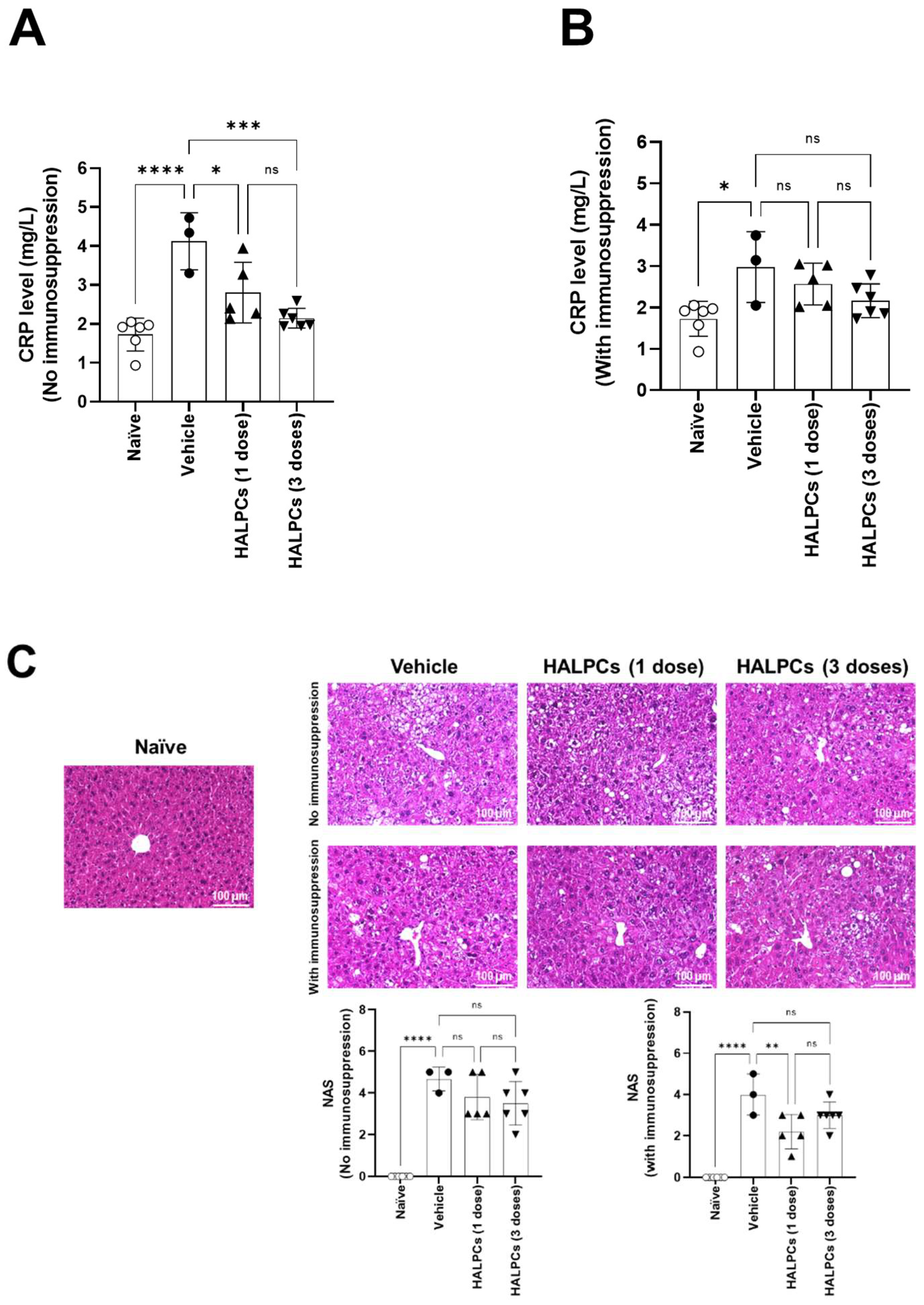 Cells 11 02854 g005a