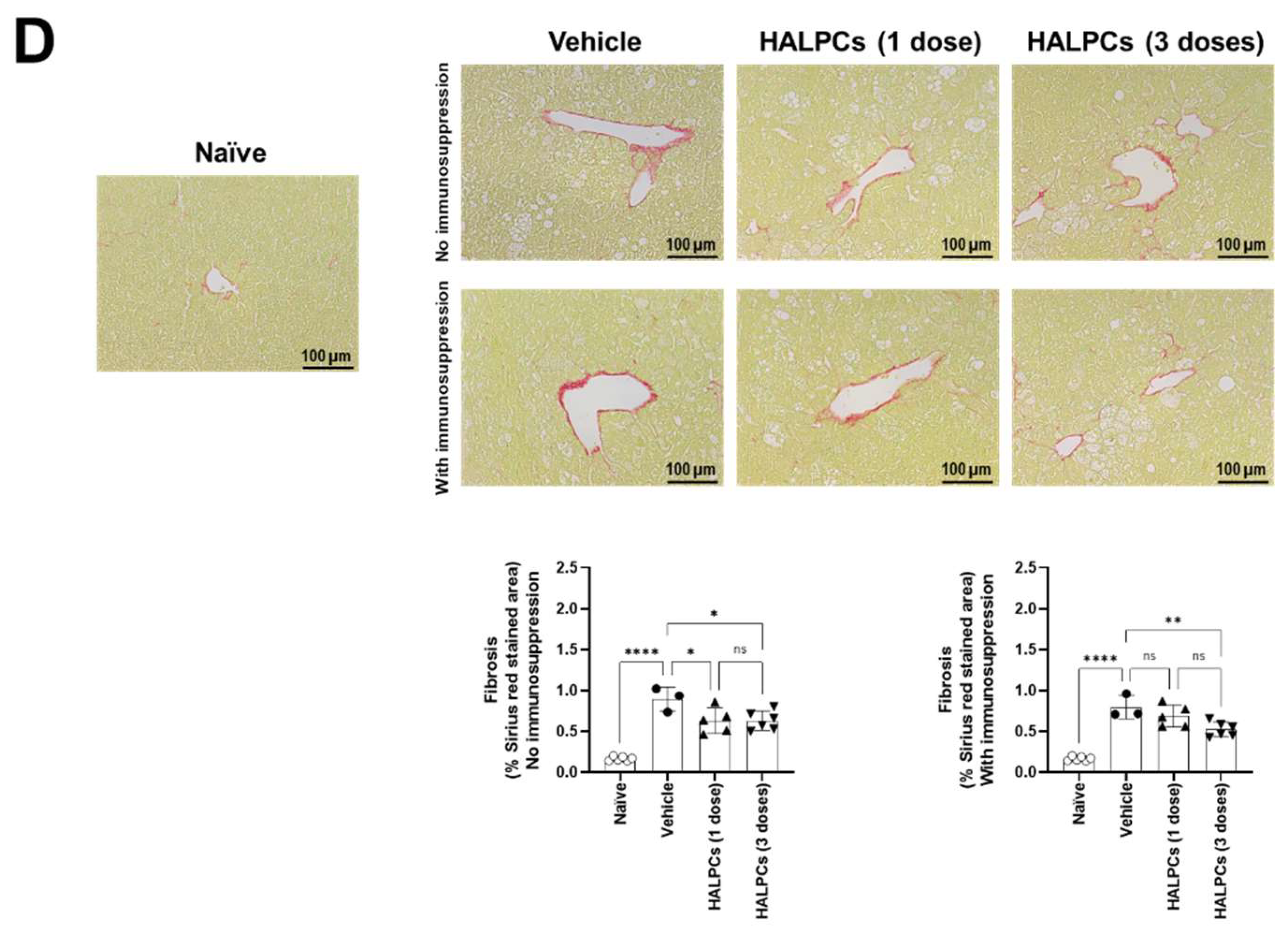 Cells 11 02854 g005b