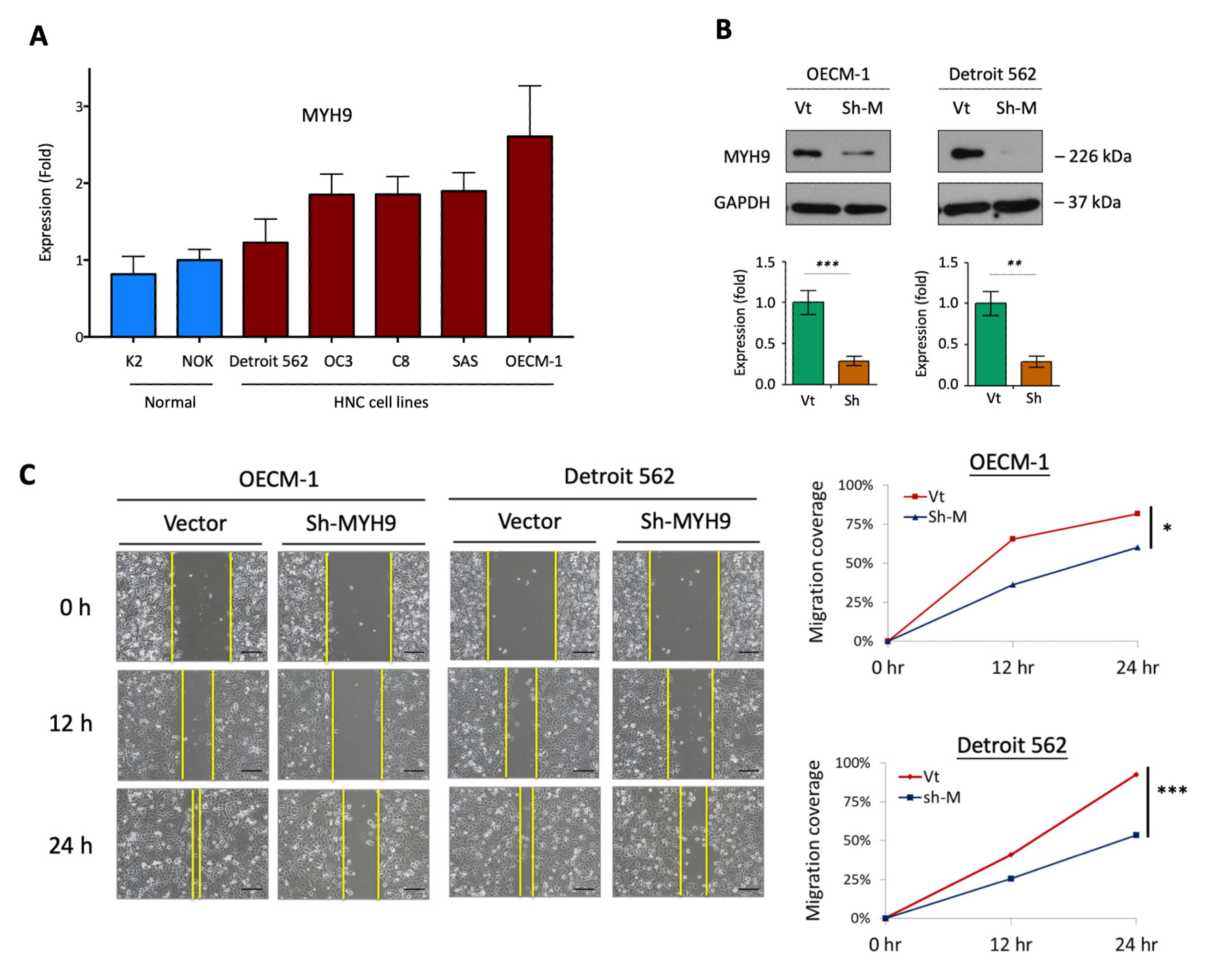 Cells 11 02855 g001a