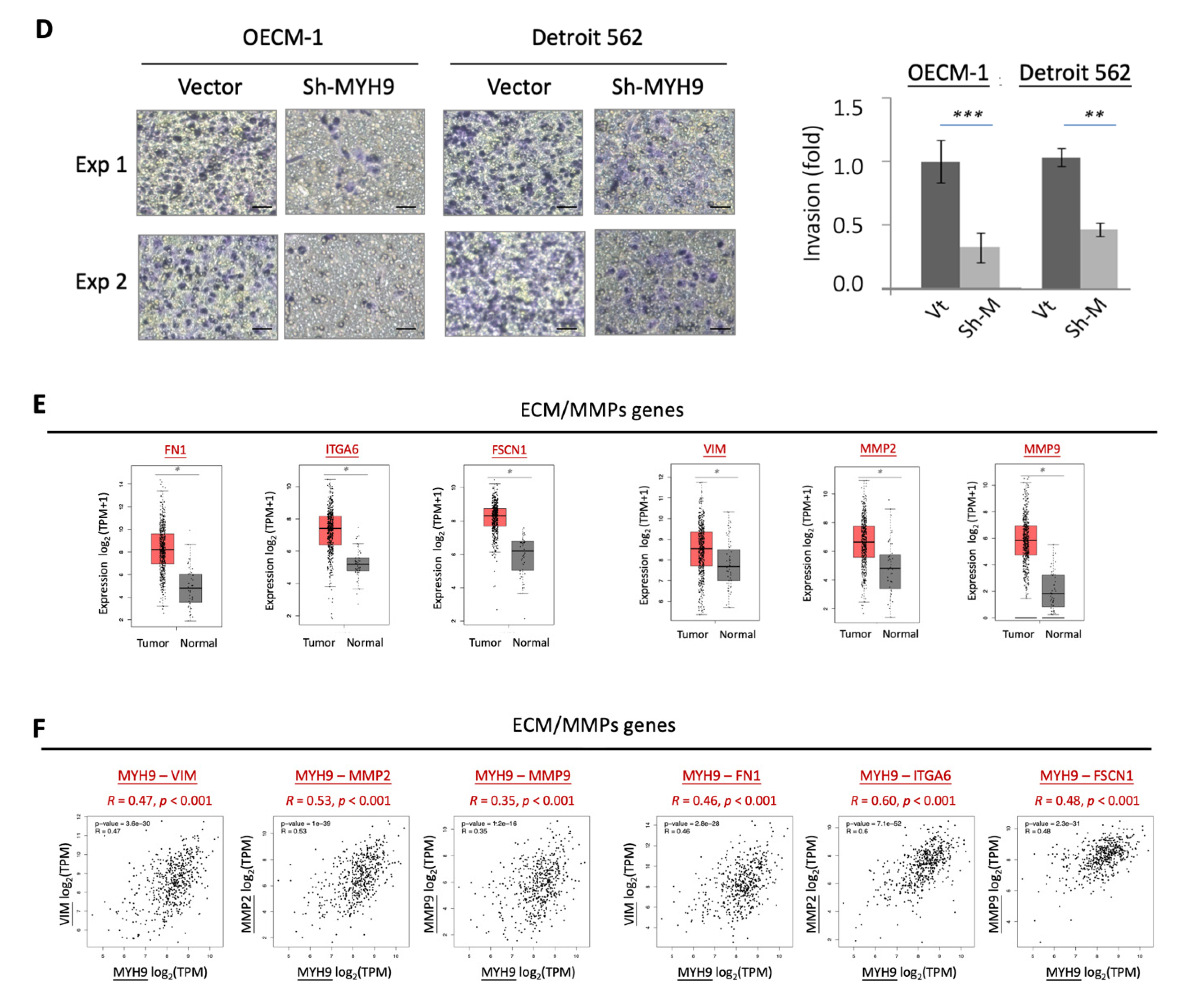 Cells 11 02855 g001b