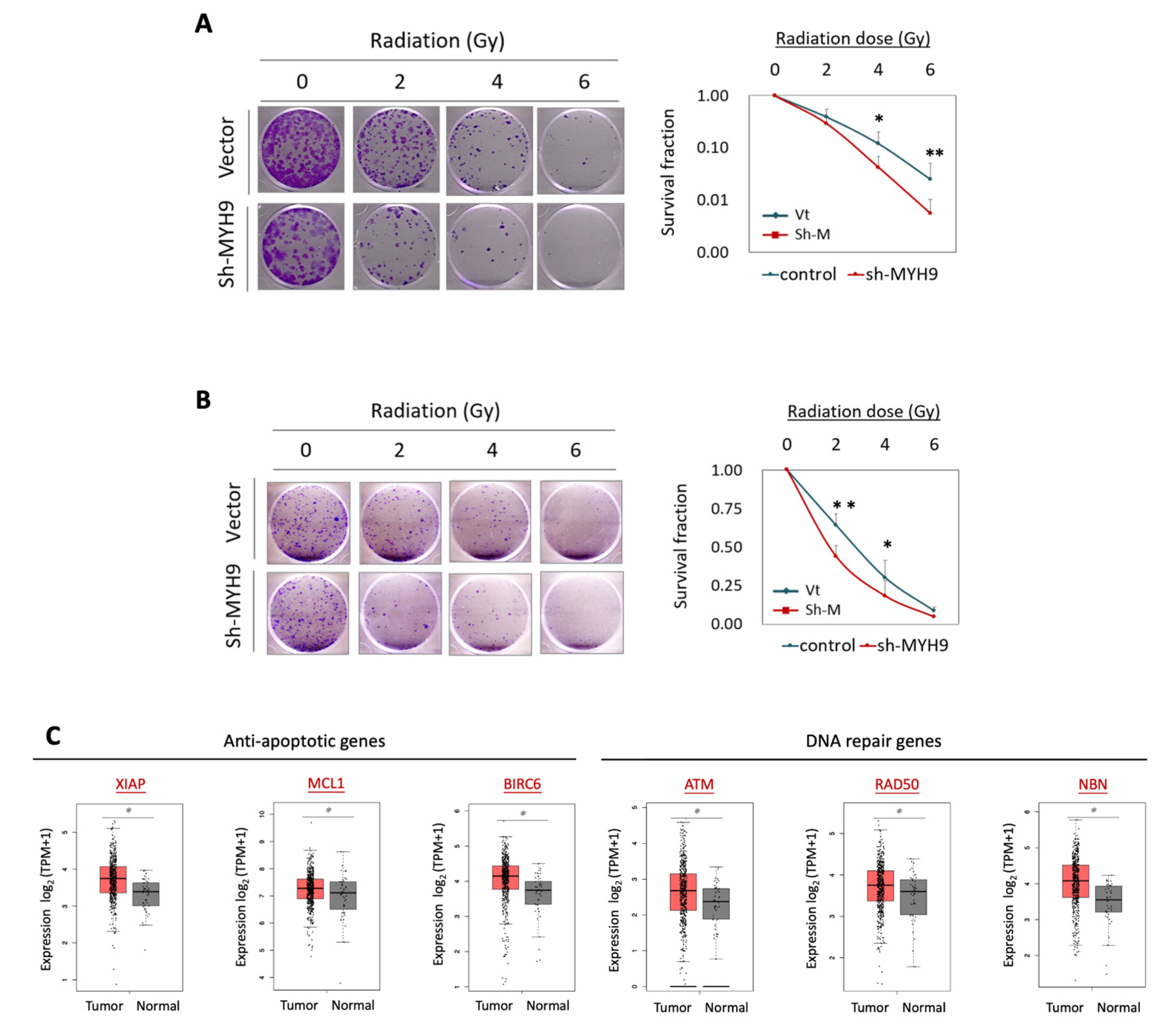 Cells 11 02855 g002a