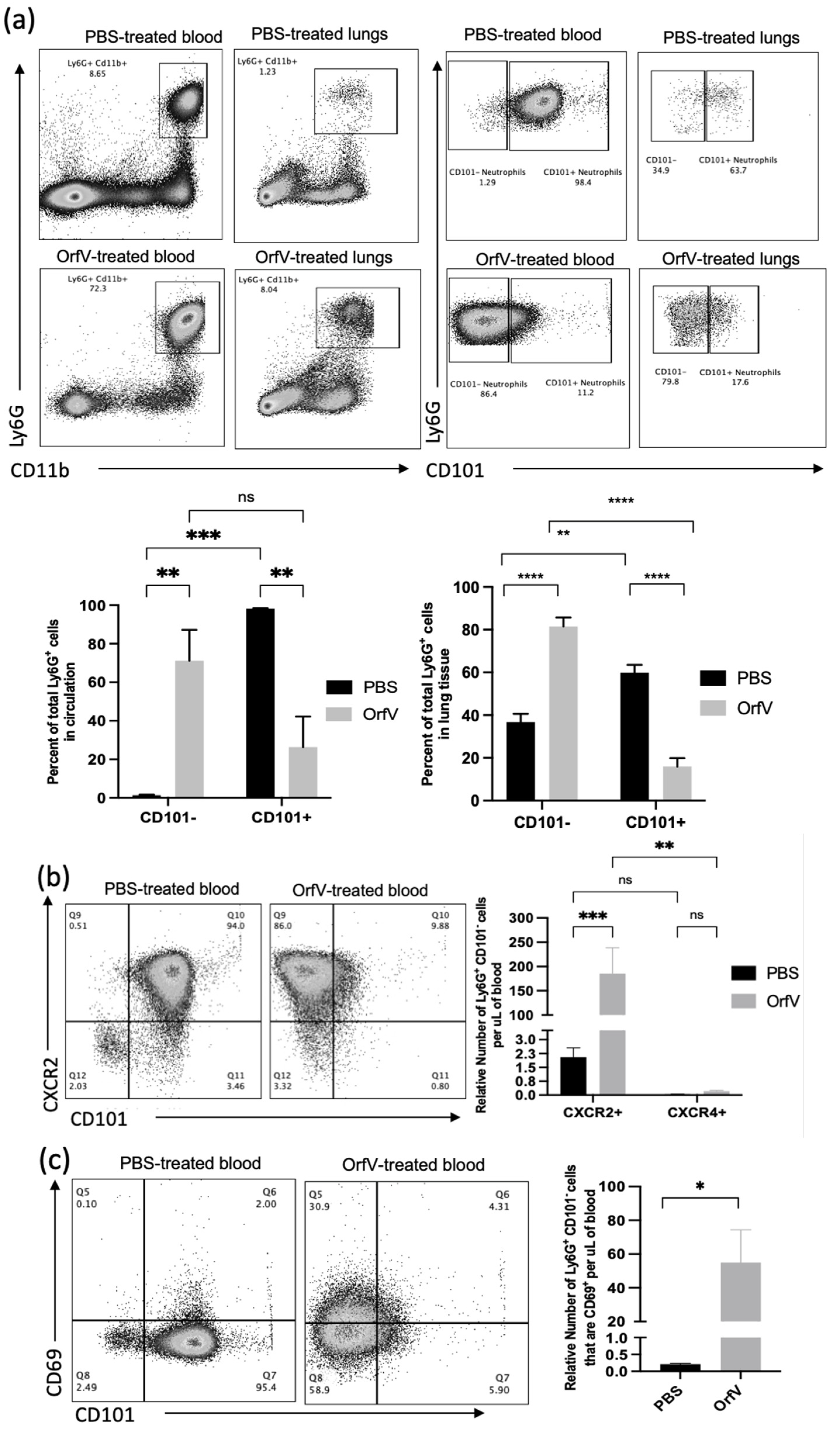 Cells 11 02858 g002a
