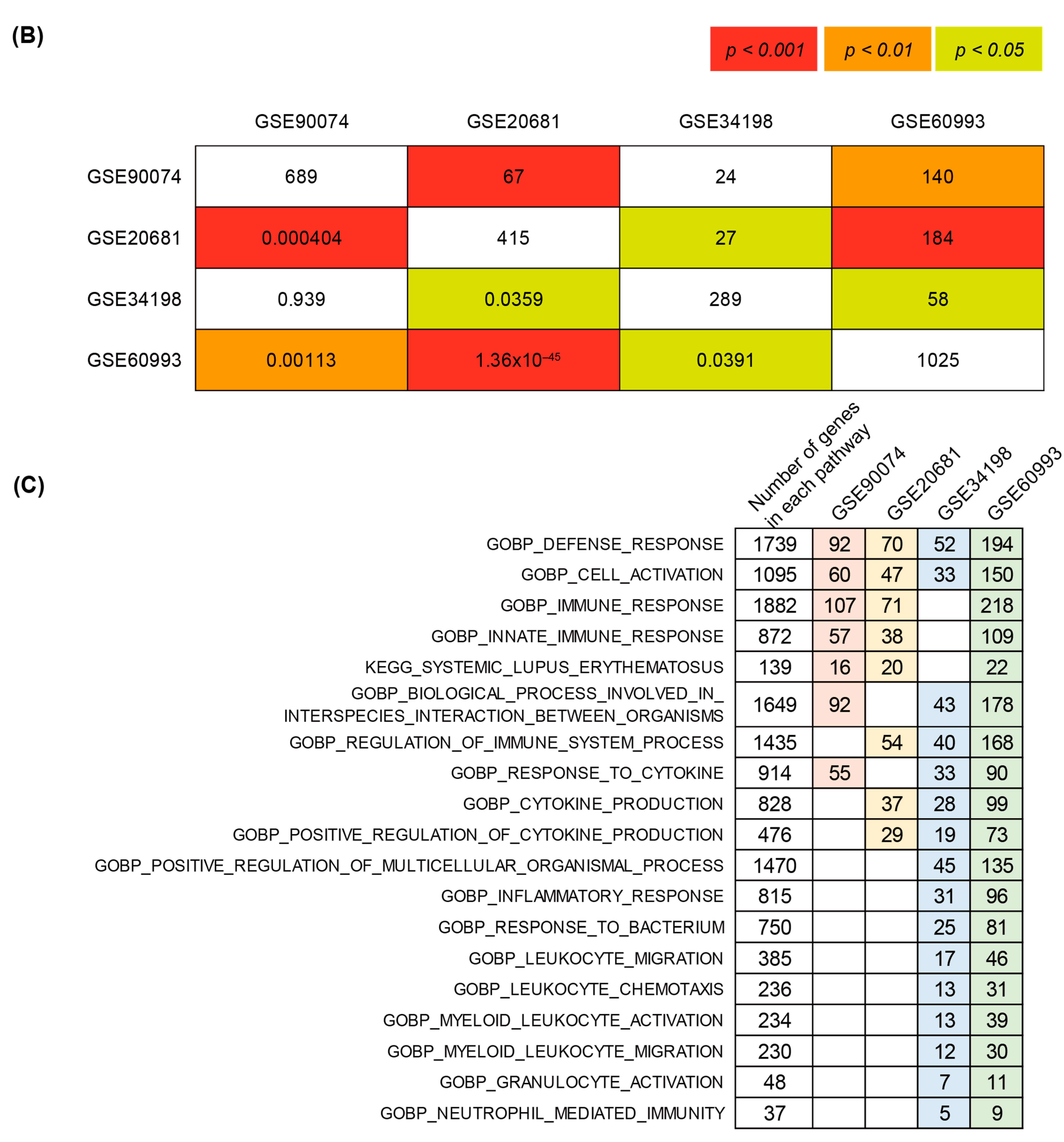 Cells 11 02867 g002b