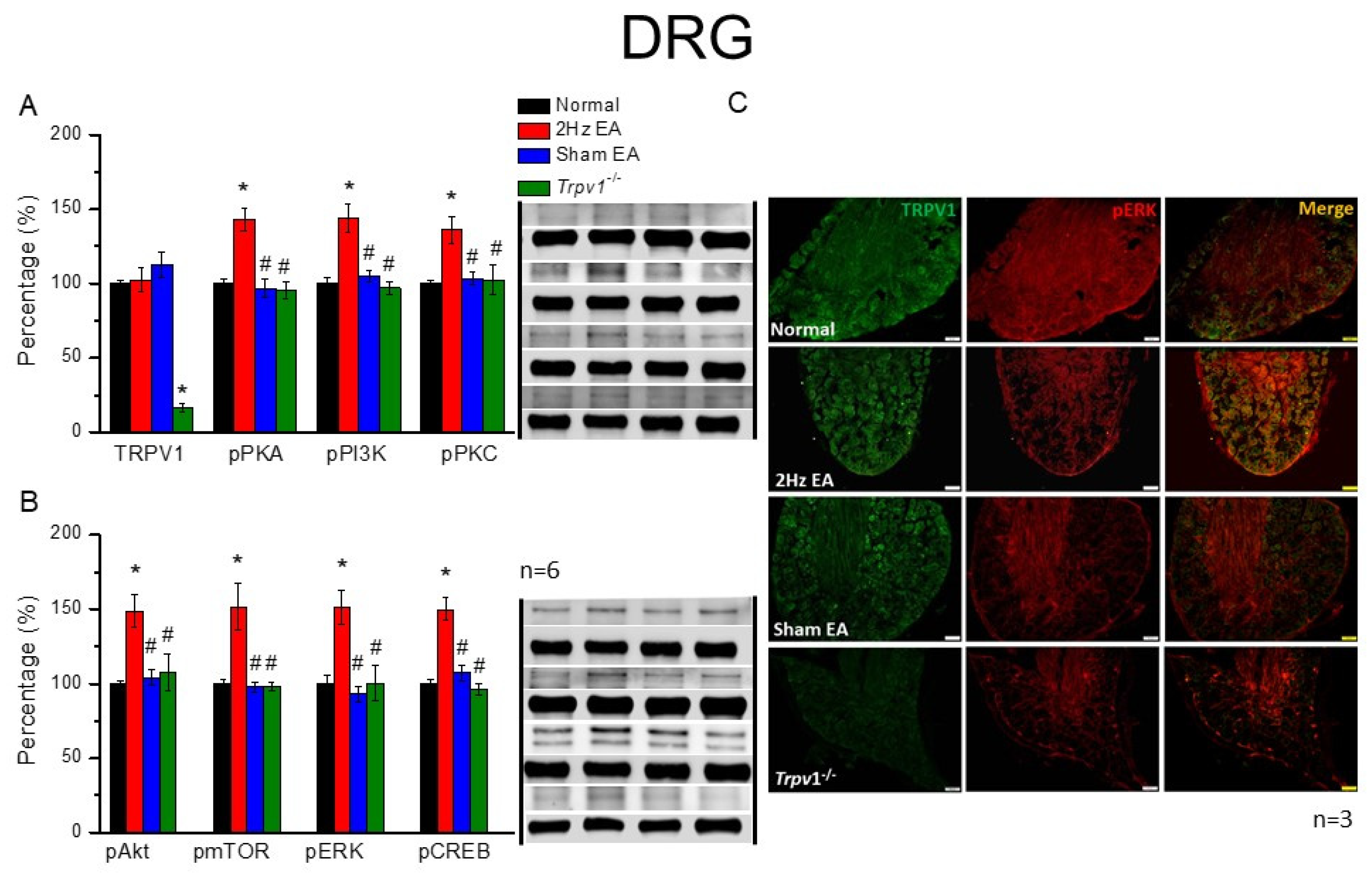 Cells 11 02869 g002 Cells 11 02869 g002
