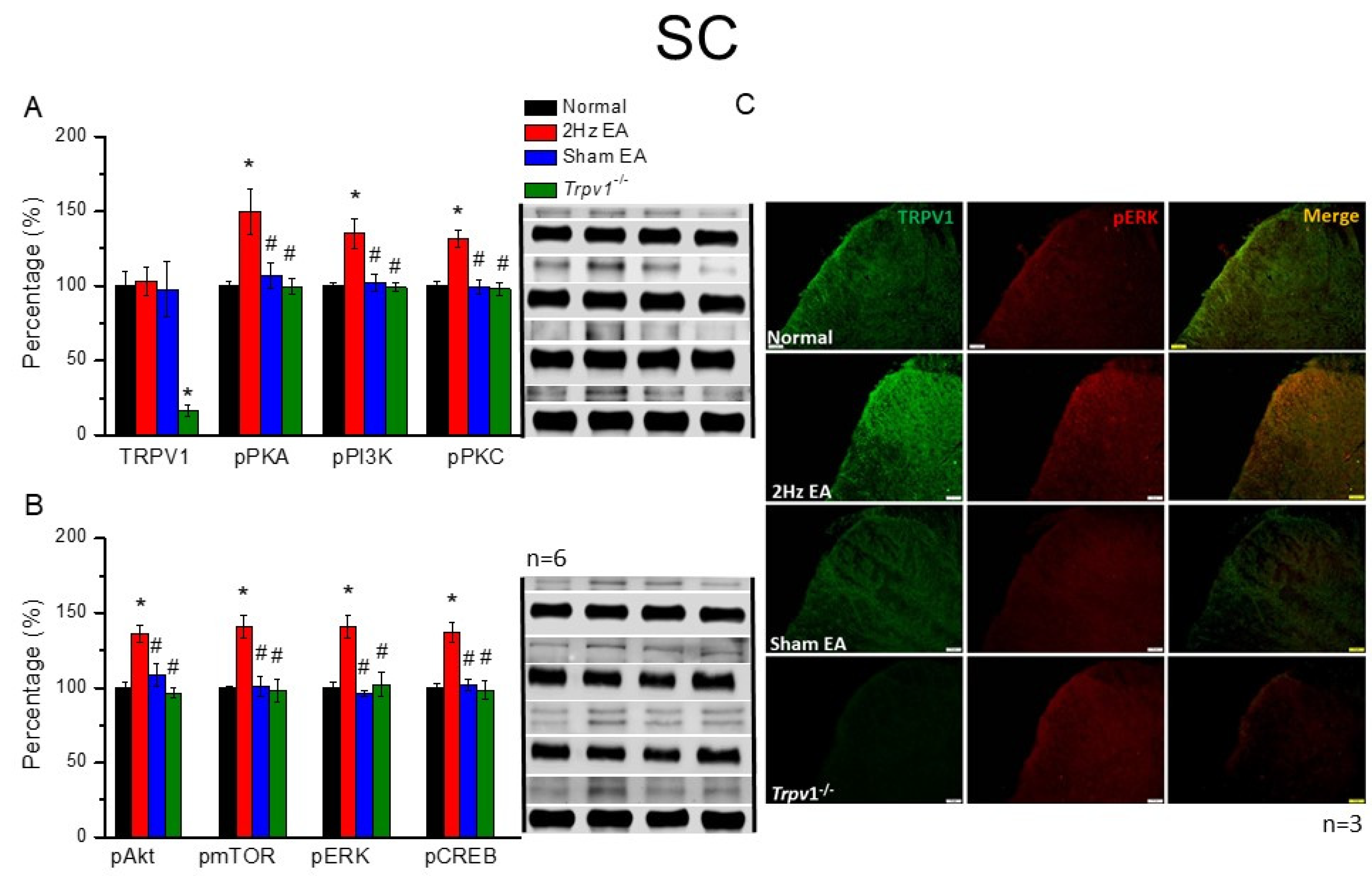 Cells 11 02869 g003 Cells 11 02869 g003