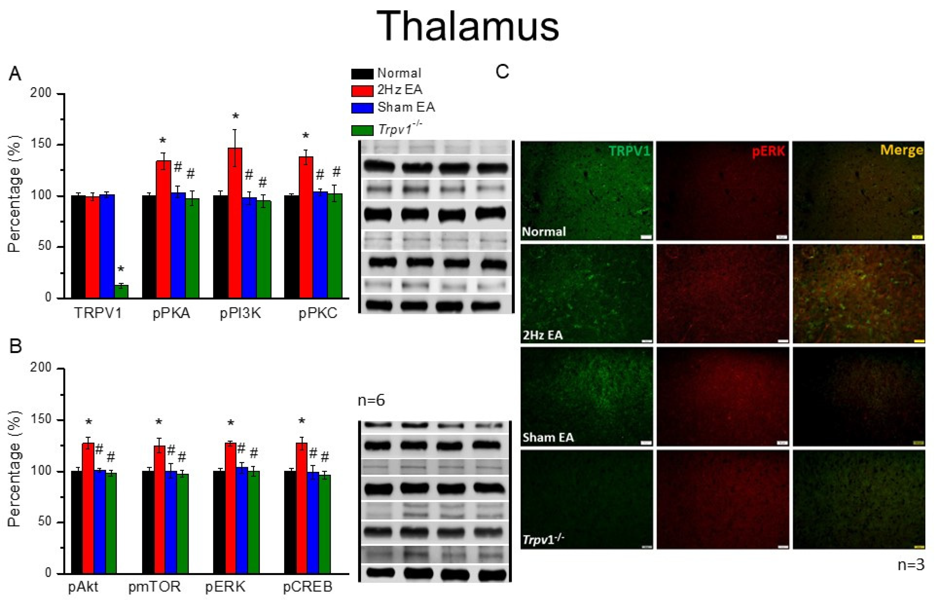Cells 11 02869 g004 Cells 11 02869 g004