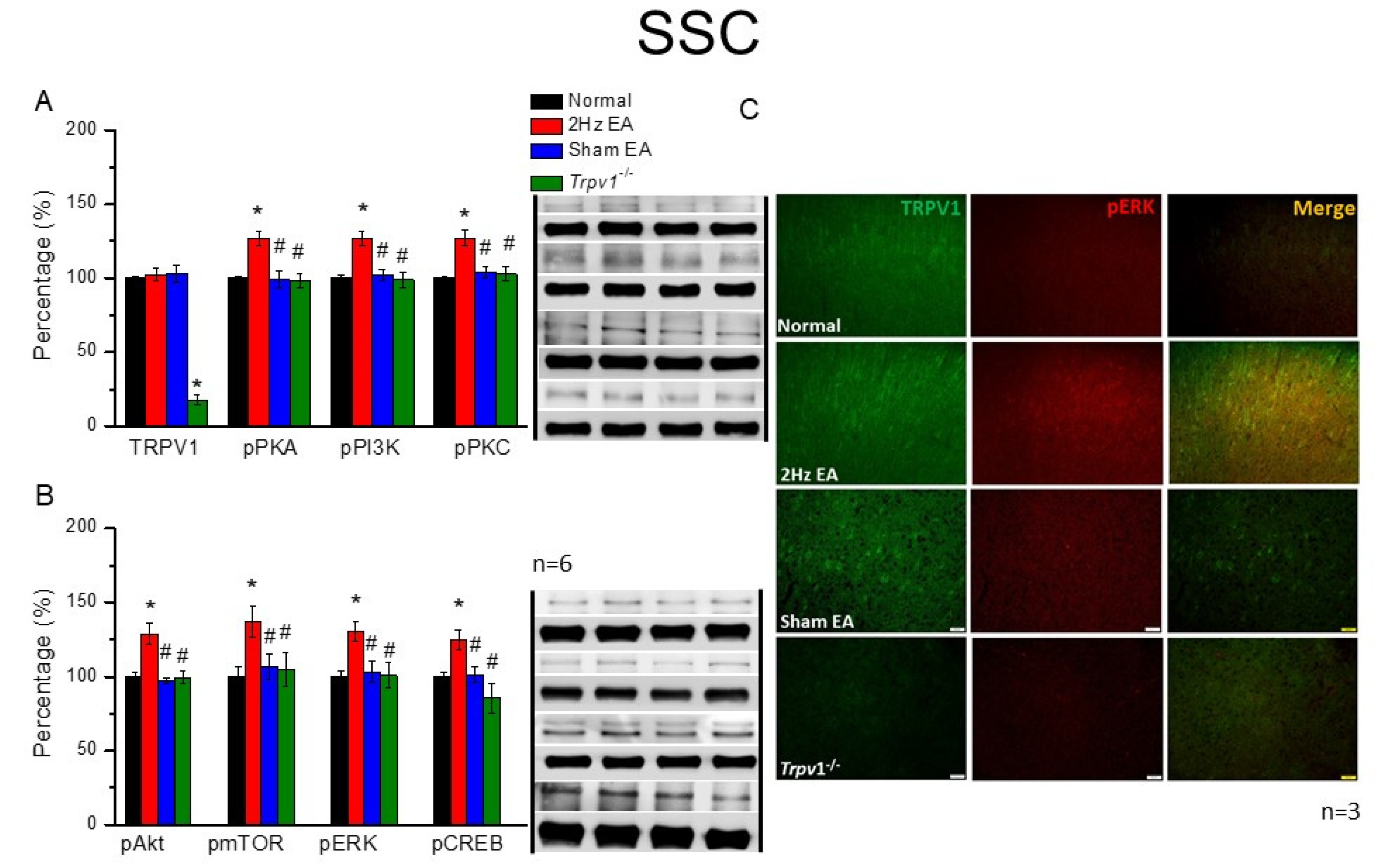 Cells 11 02869 g005 Cells 11 02869 g005