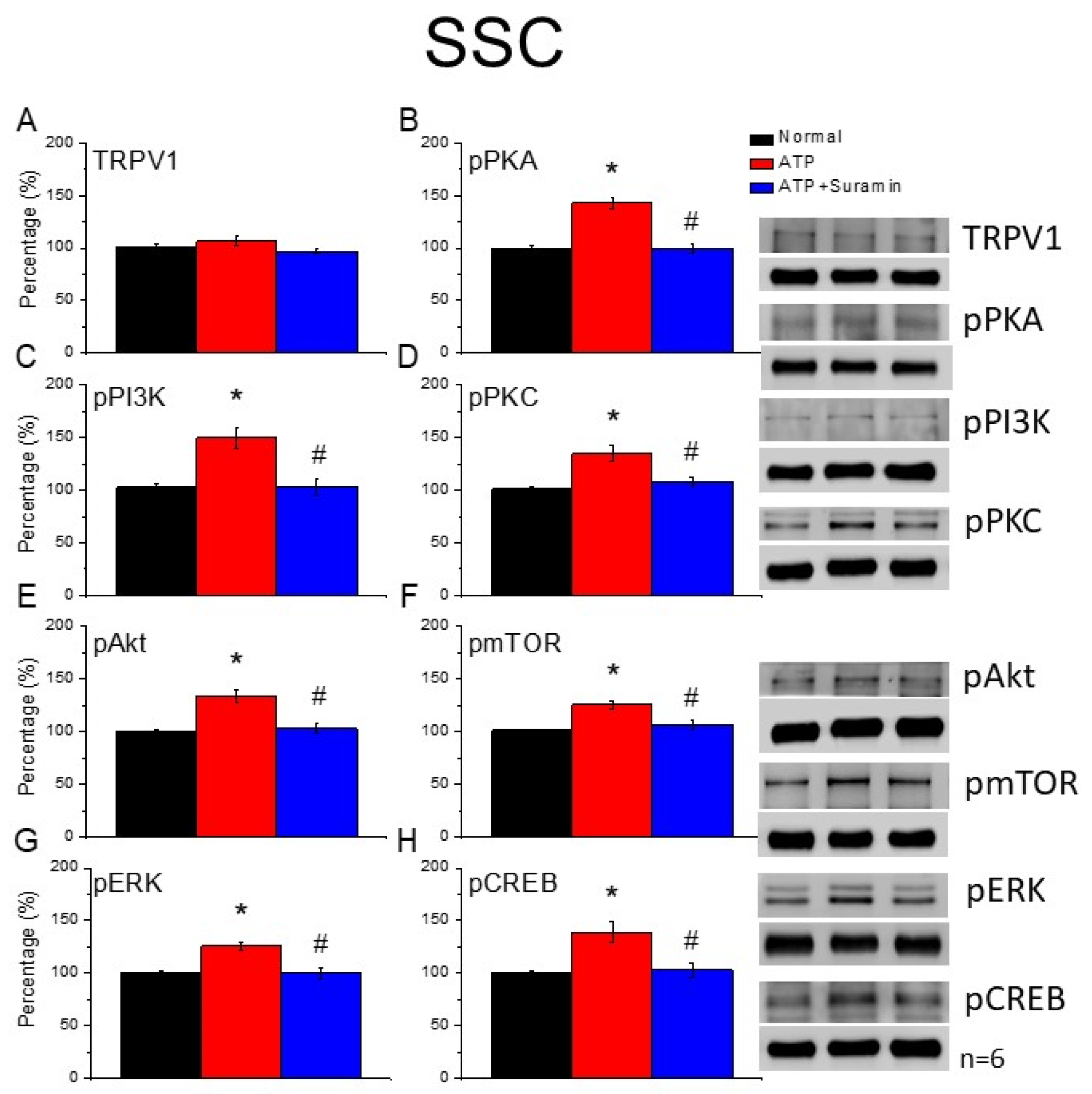 Cells 11 02869 g006 Cells 11 02869 g006