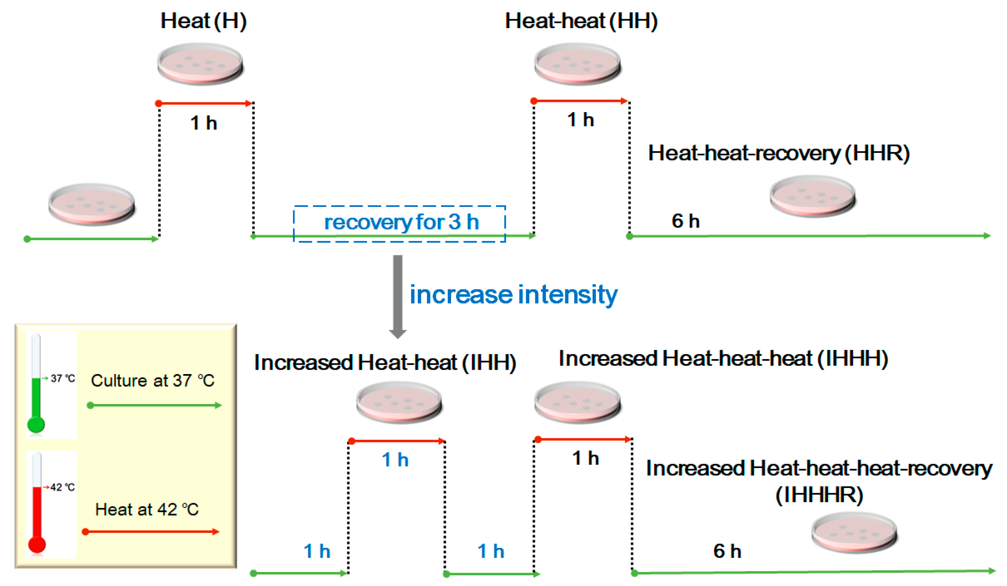 Cells 11 02886 g001 Cells 11 02886 g001
