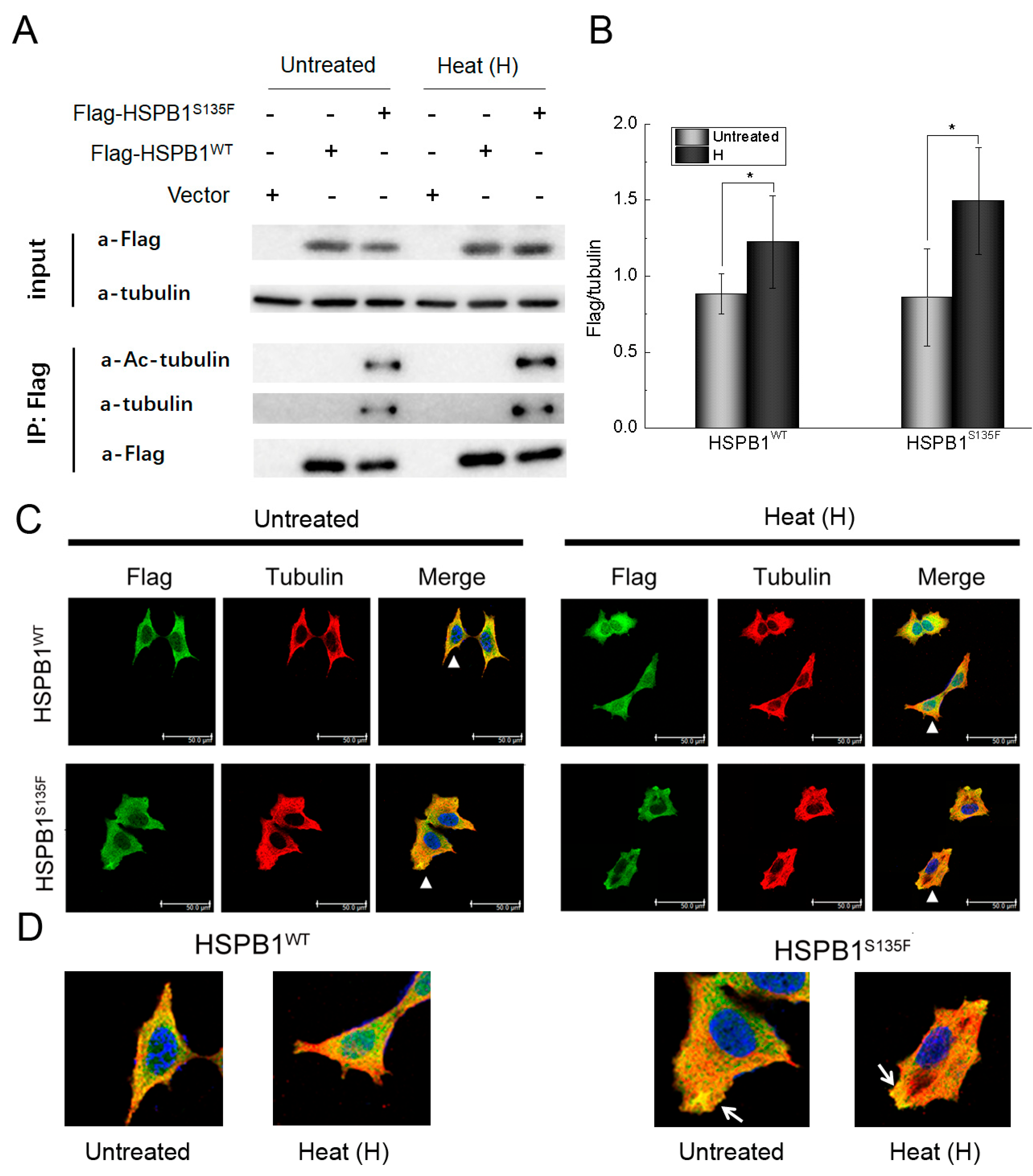 Cells 11 02886 g002 Cells 11 02886 g002