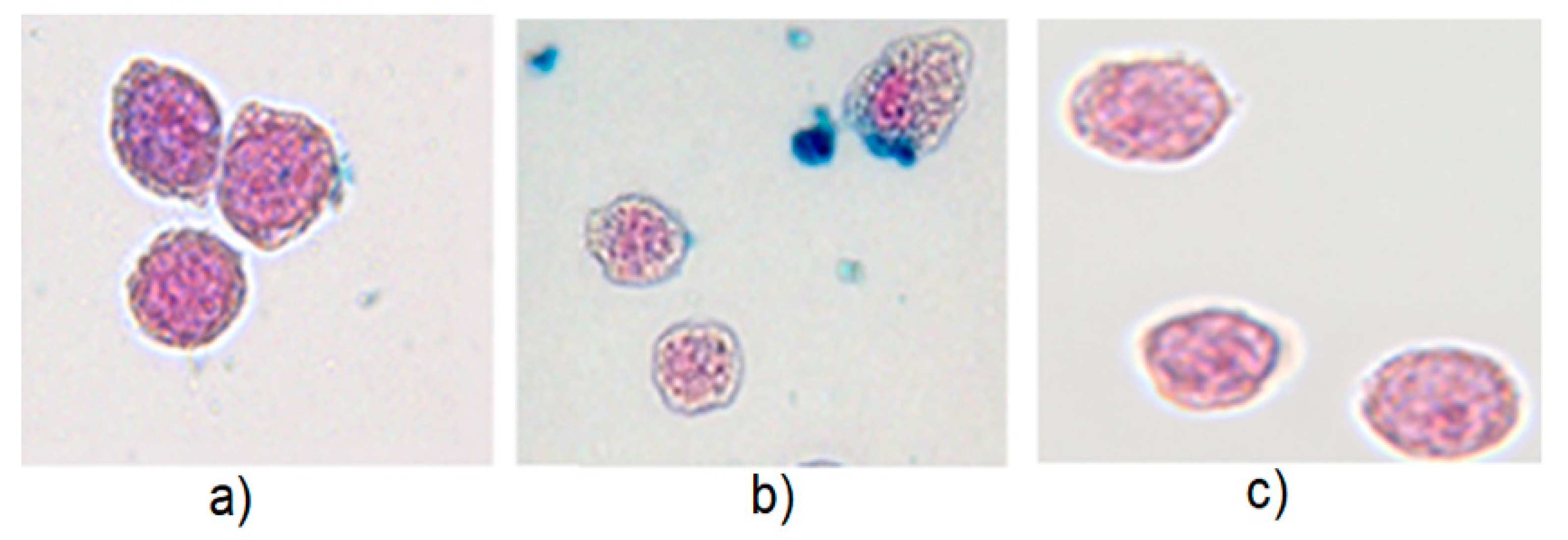 Cells 11 02892 g004 Cells 11 02892 g004