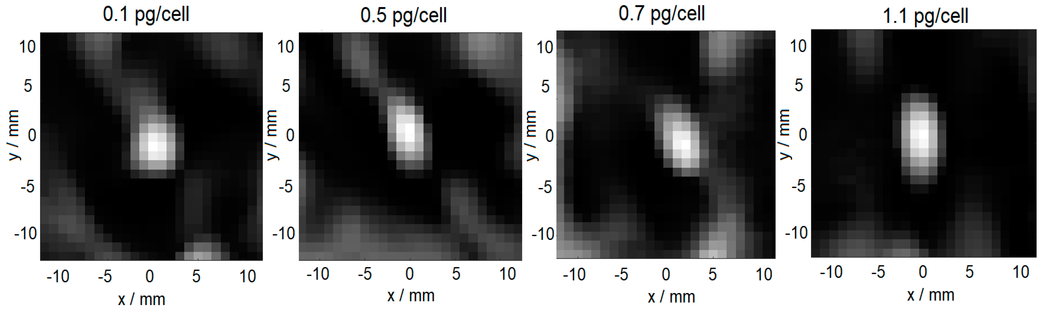 Cells 11 02892 g008 Cells 11 02892 g008