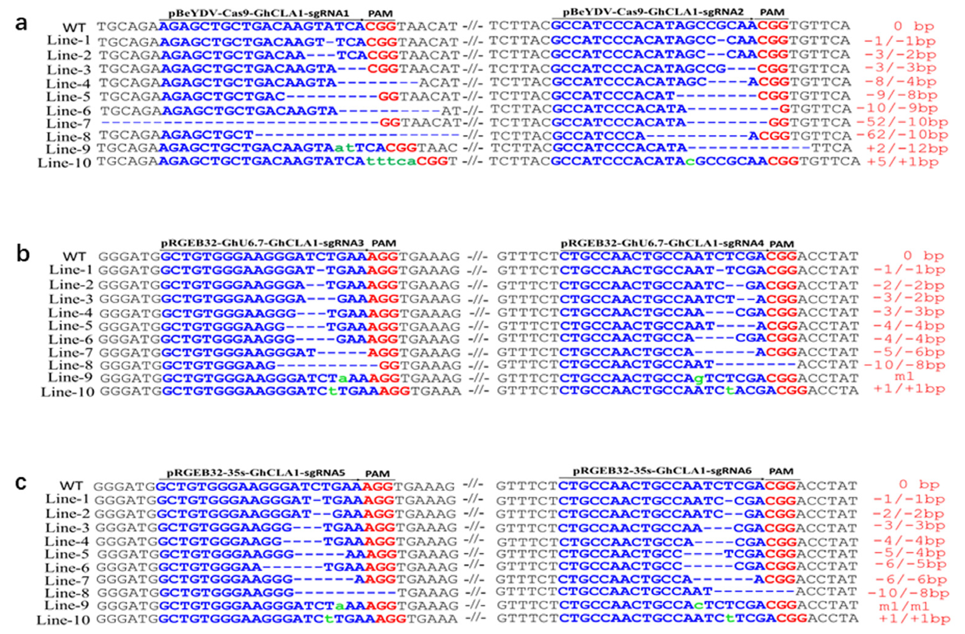 Cells 11 02902 g003 Cells 11 02902 g003