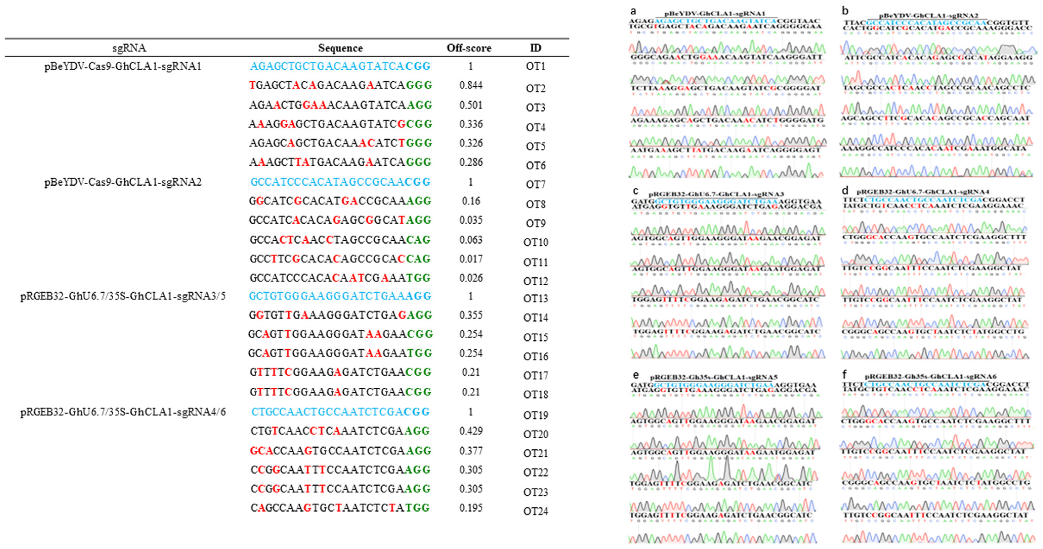 Cells 11 02902 g006 Cells 11 02902 g006