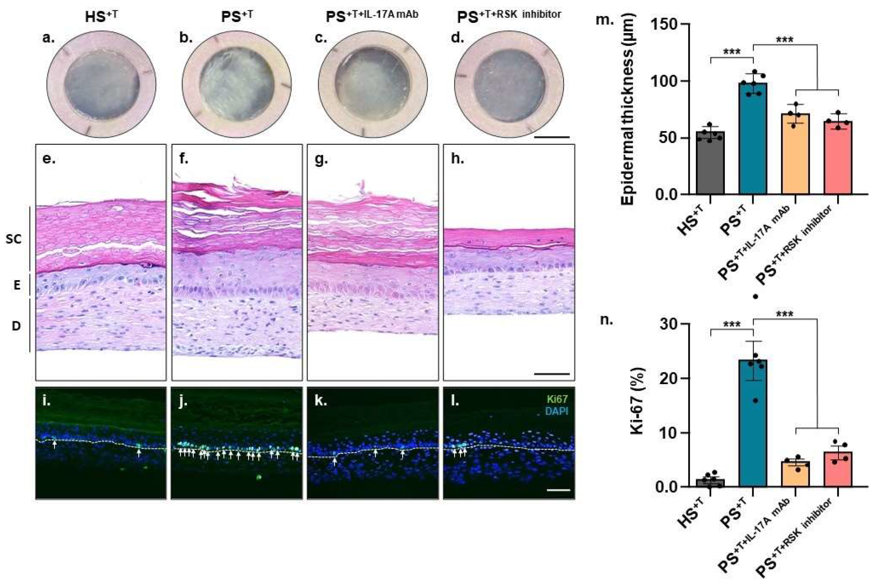 Cells 11 02904 g001
