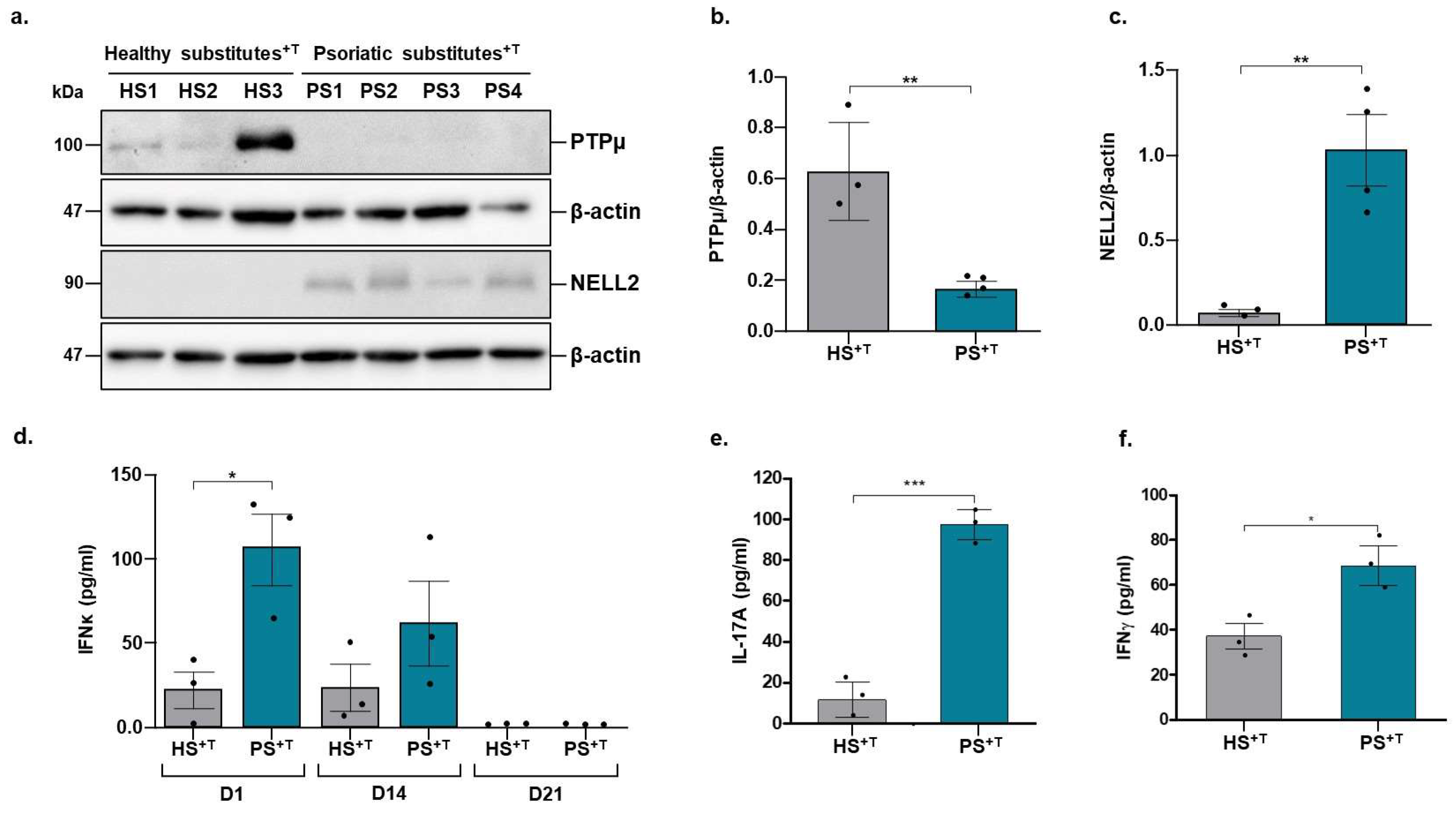 Cells 11 02904 g003