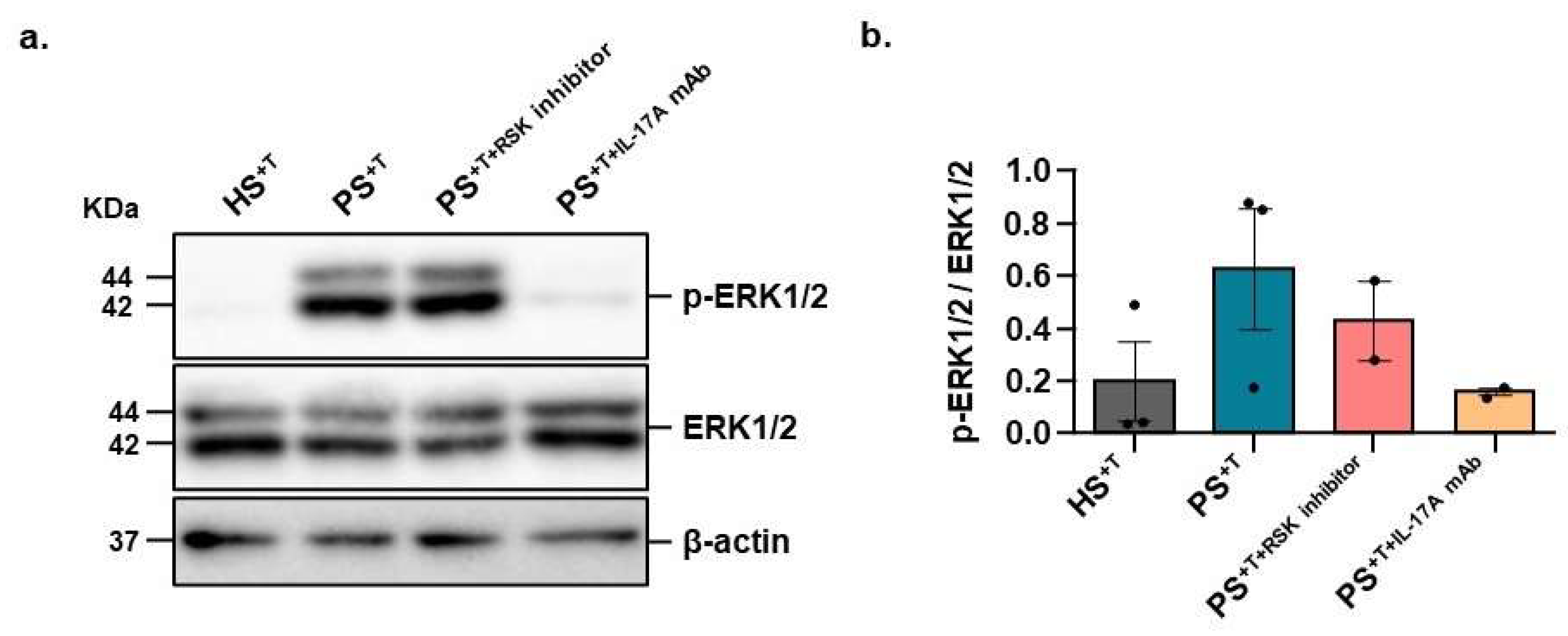 Cells 11 02904 g004