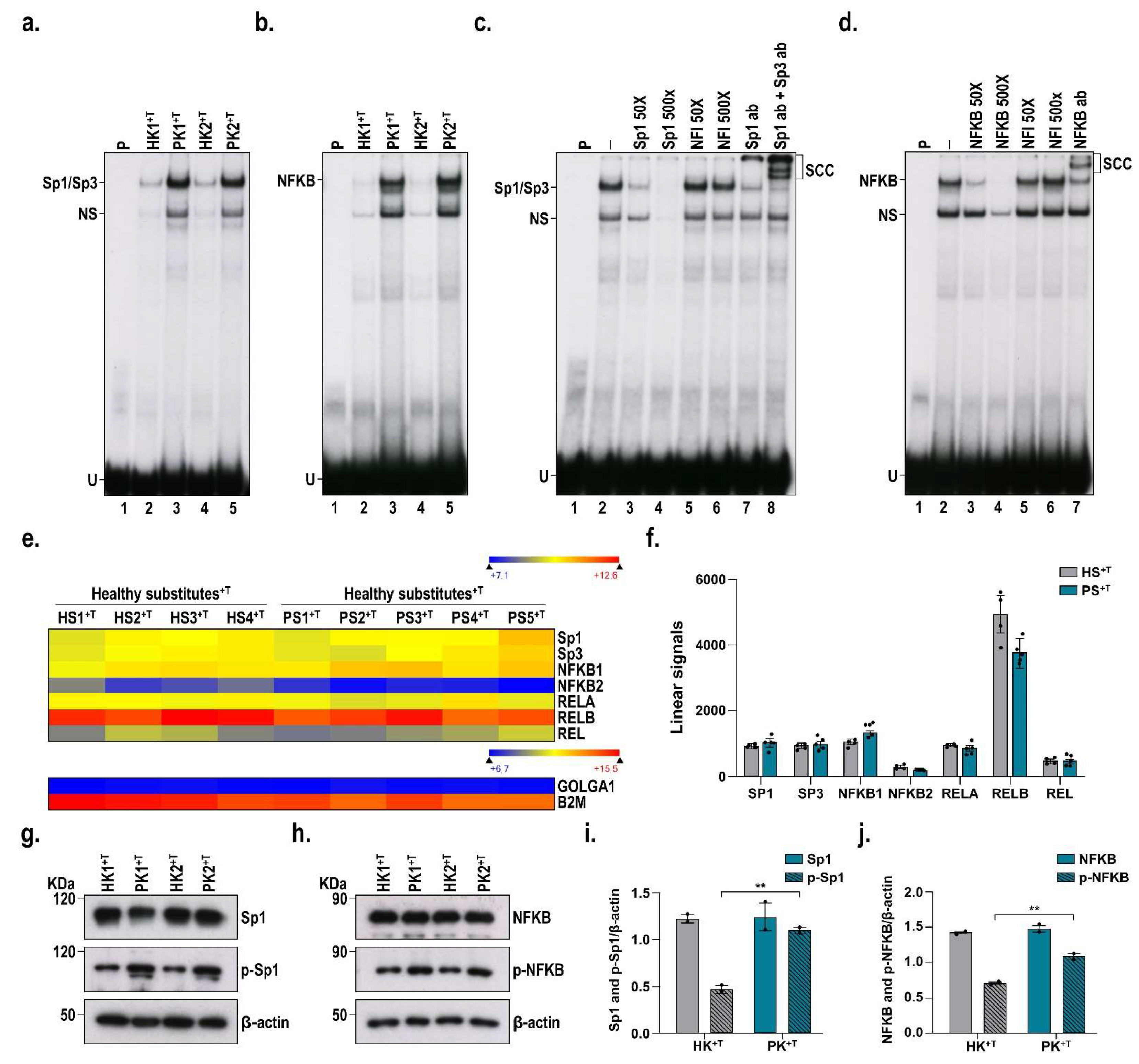 Cells 11 02904 g005