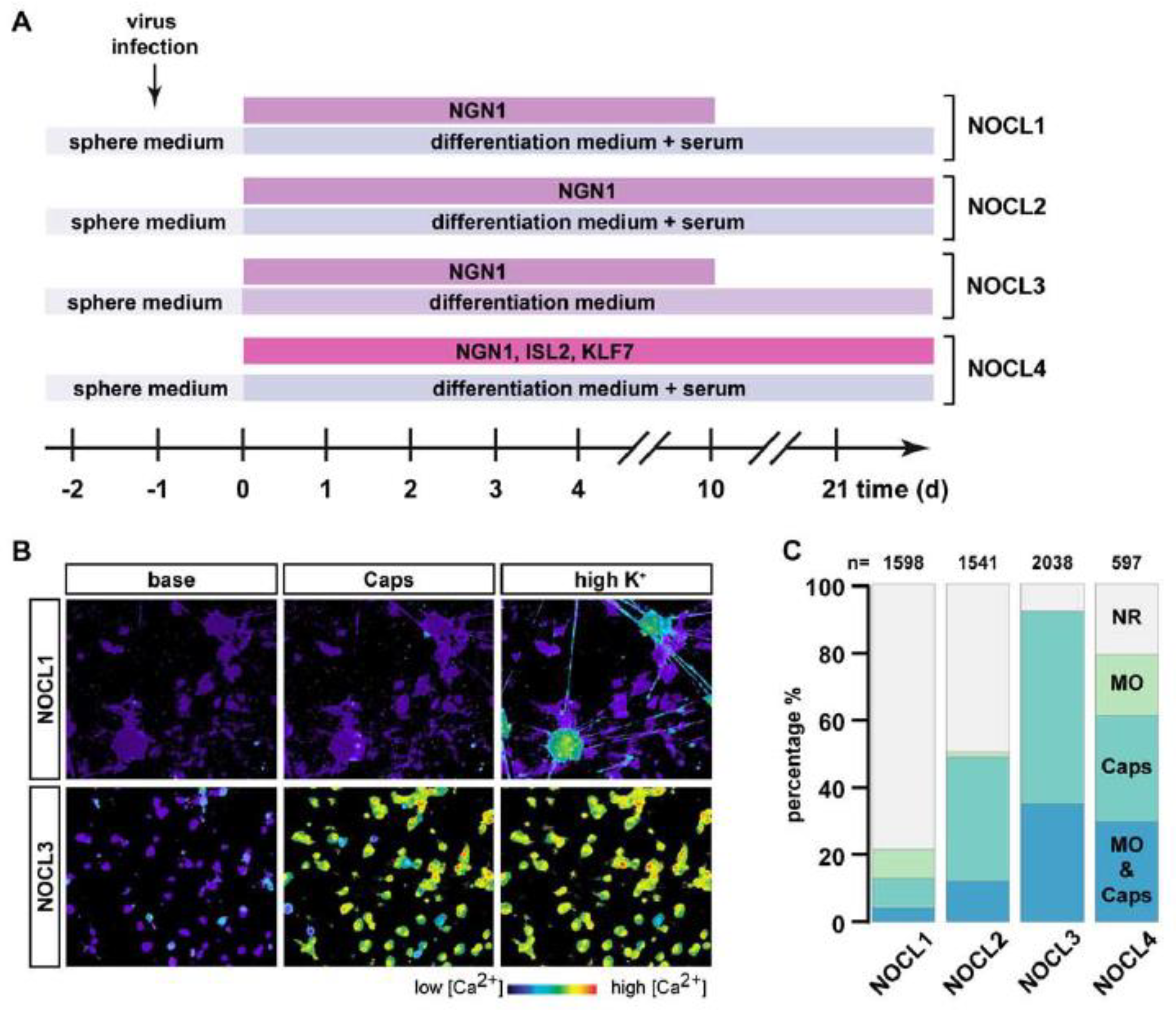 Cells 11 02905 g002 Cells 11 02905 g002