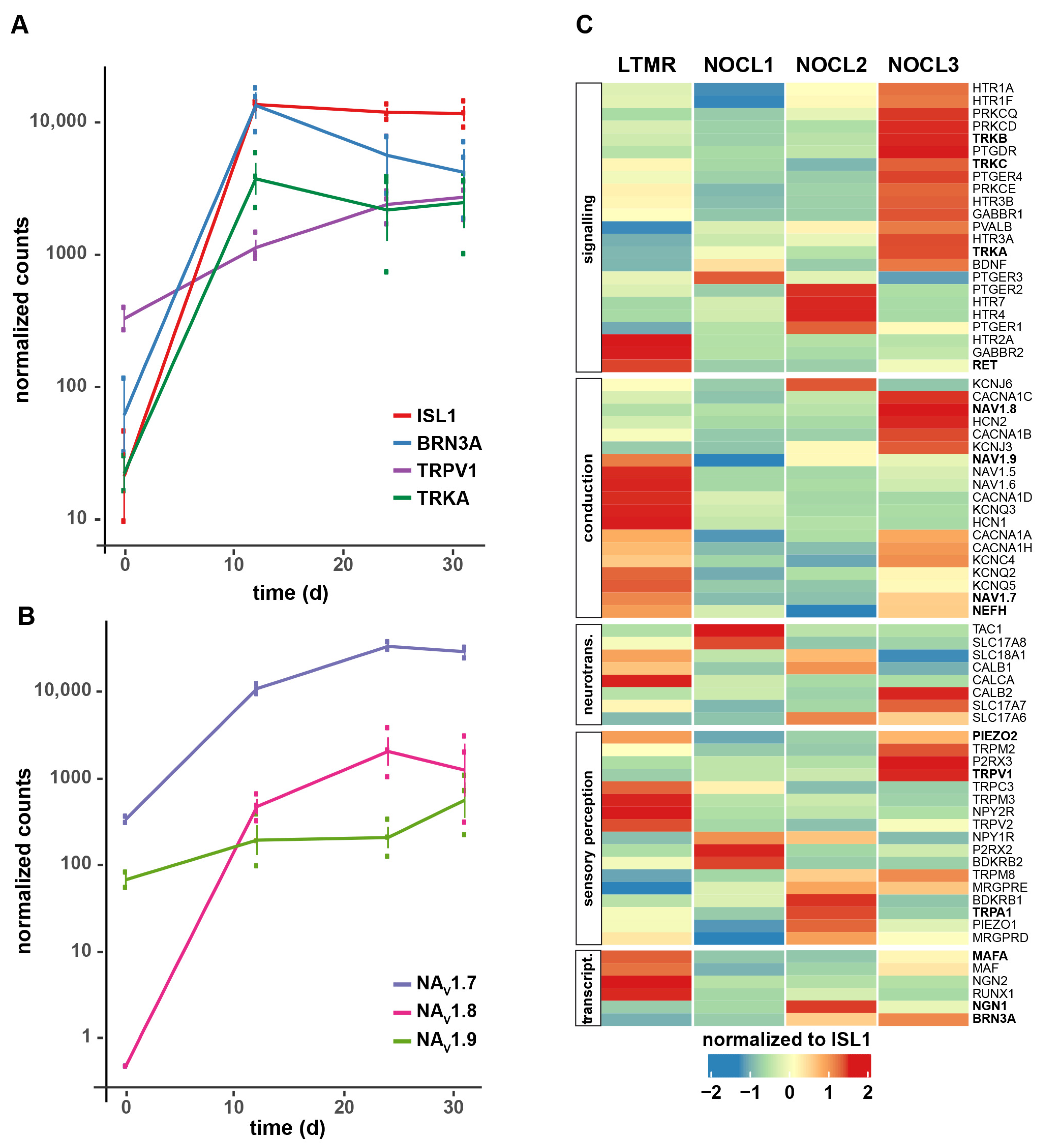 Cells 11 02905 g003 Cells 11 02905 g003