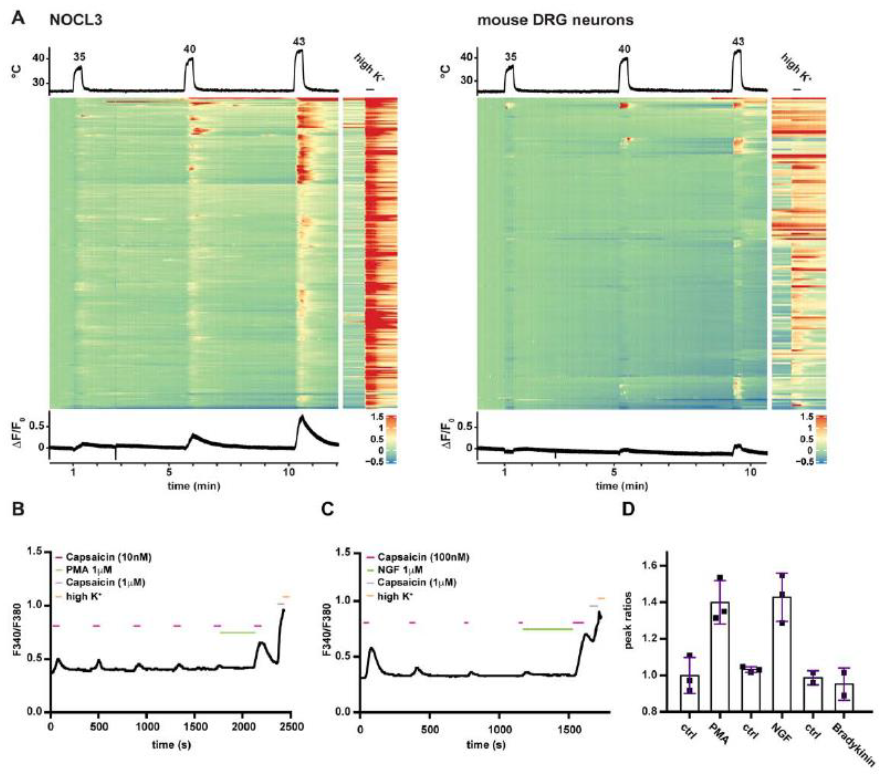 Cells 11 02905 g005 Cells 11 02905 g005