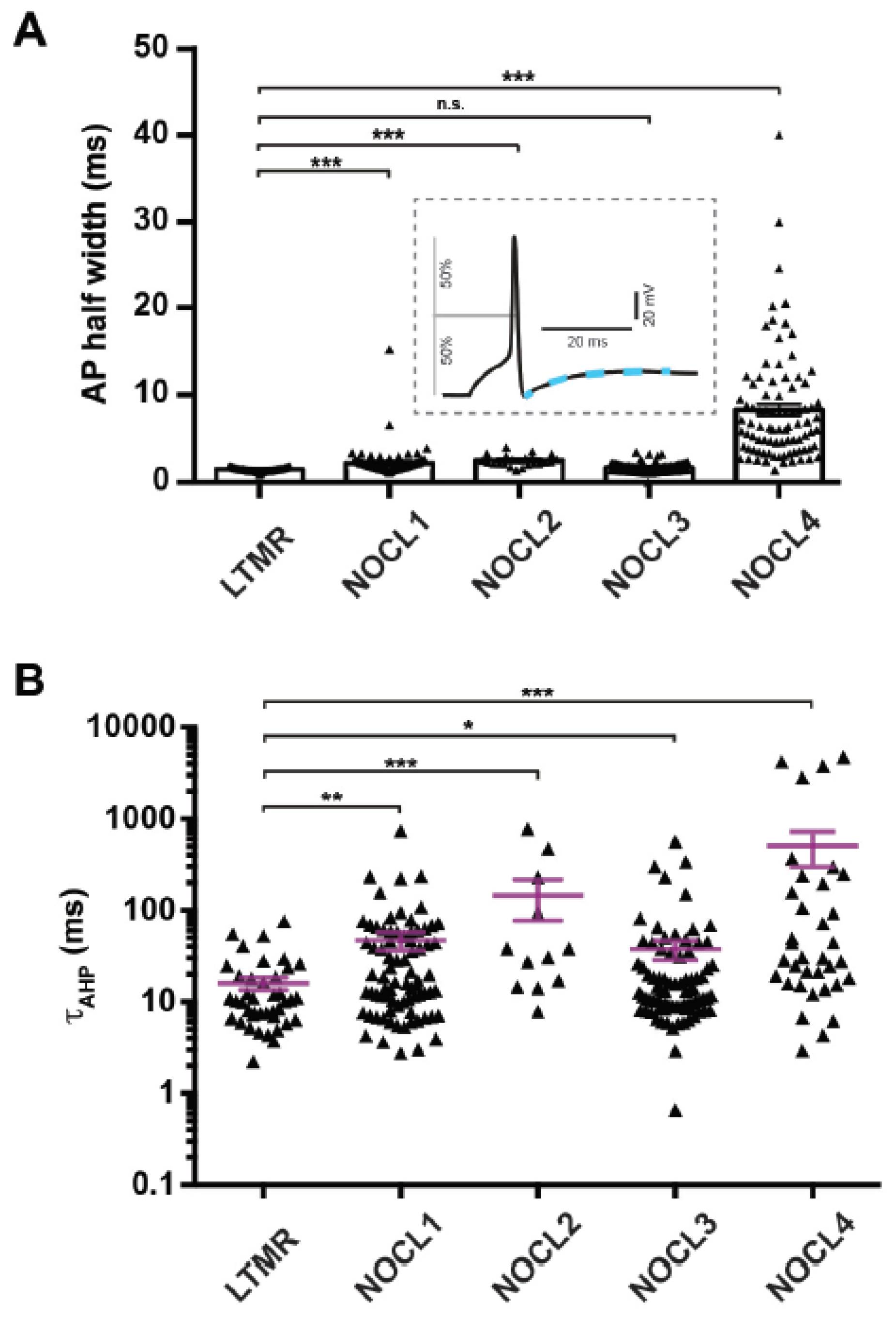 Cells 11 02905 g006 Cells 11 02905 g006