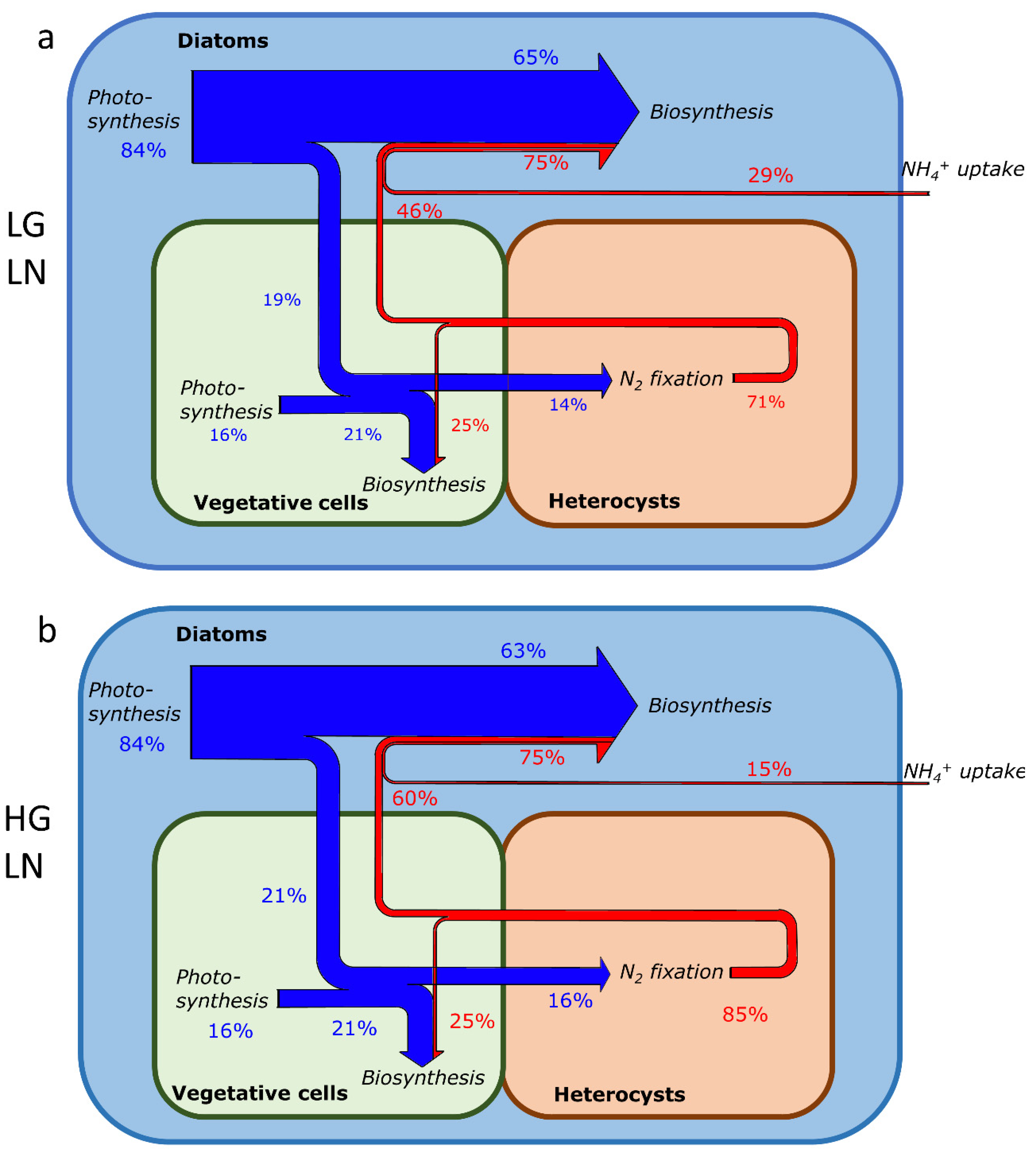 Cells 11 02911 g004a