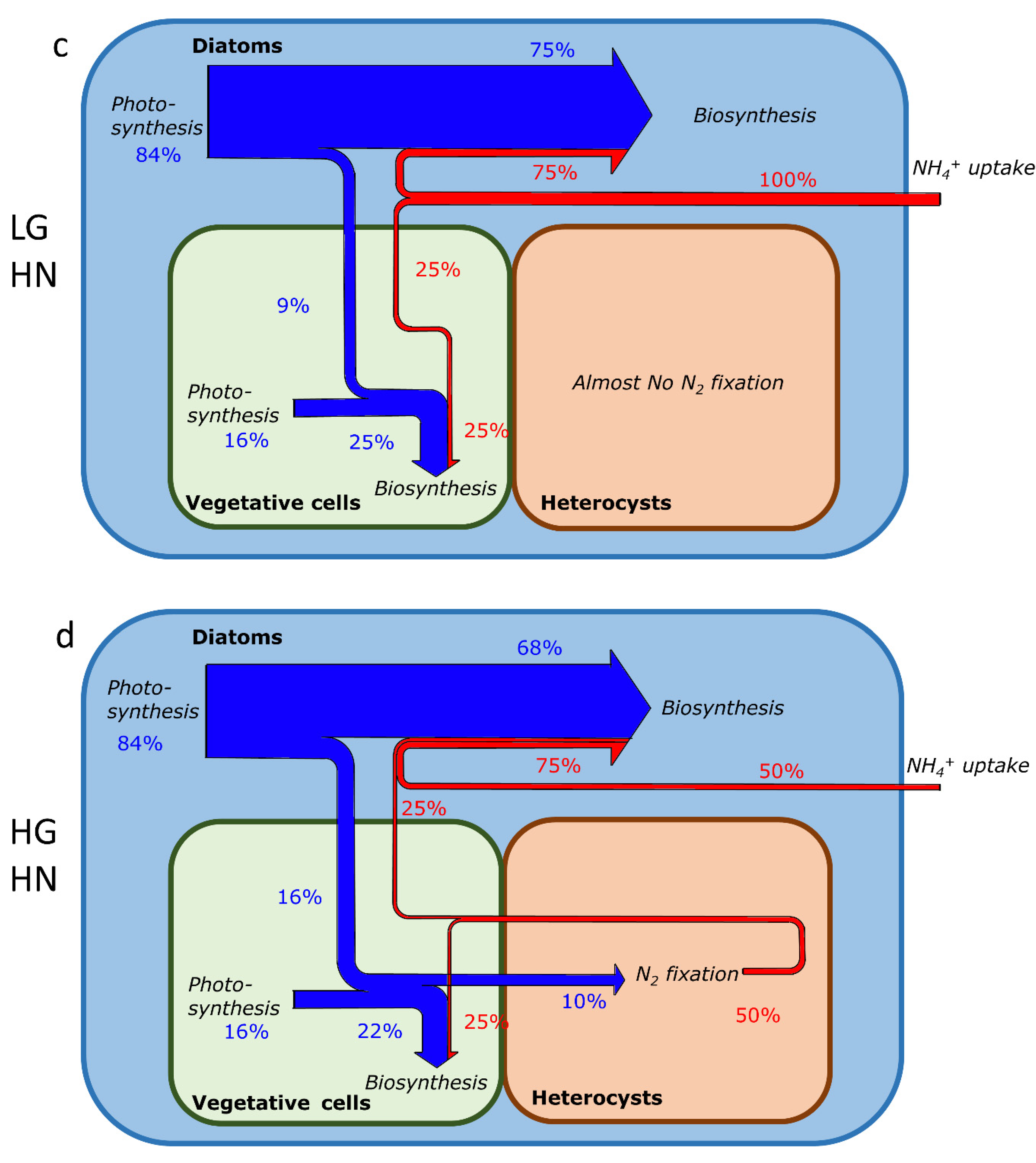 Cells 11 02911 g004b