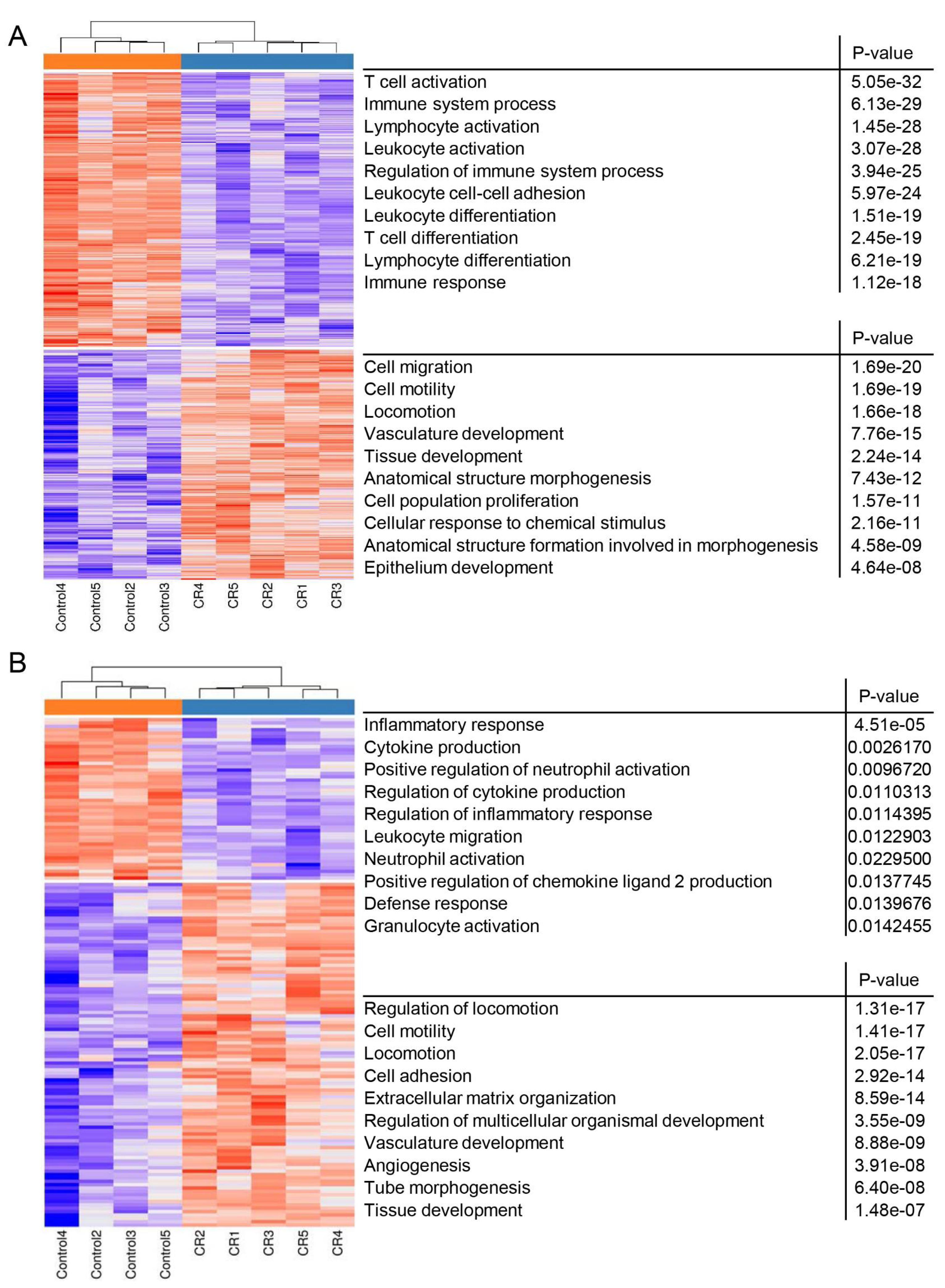 Cells 11 02923 g003 Cells 11 02923 g003