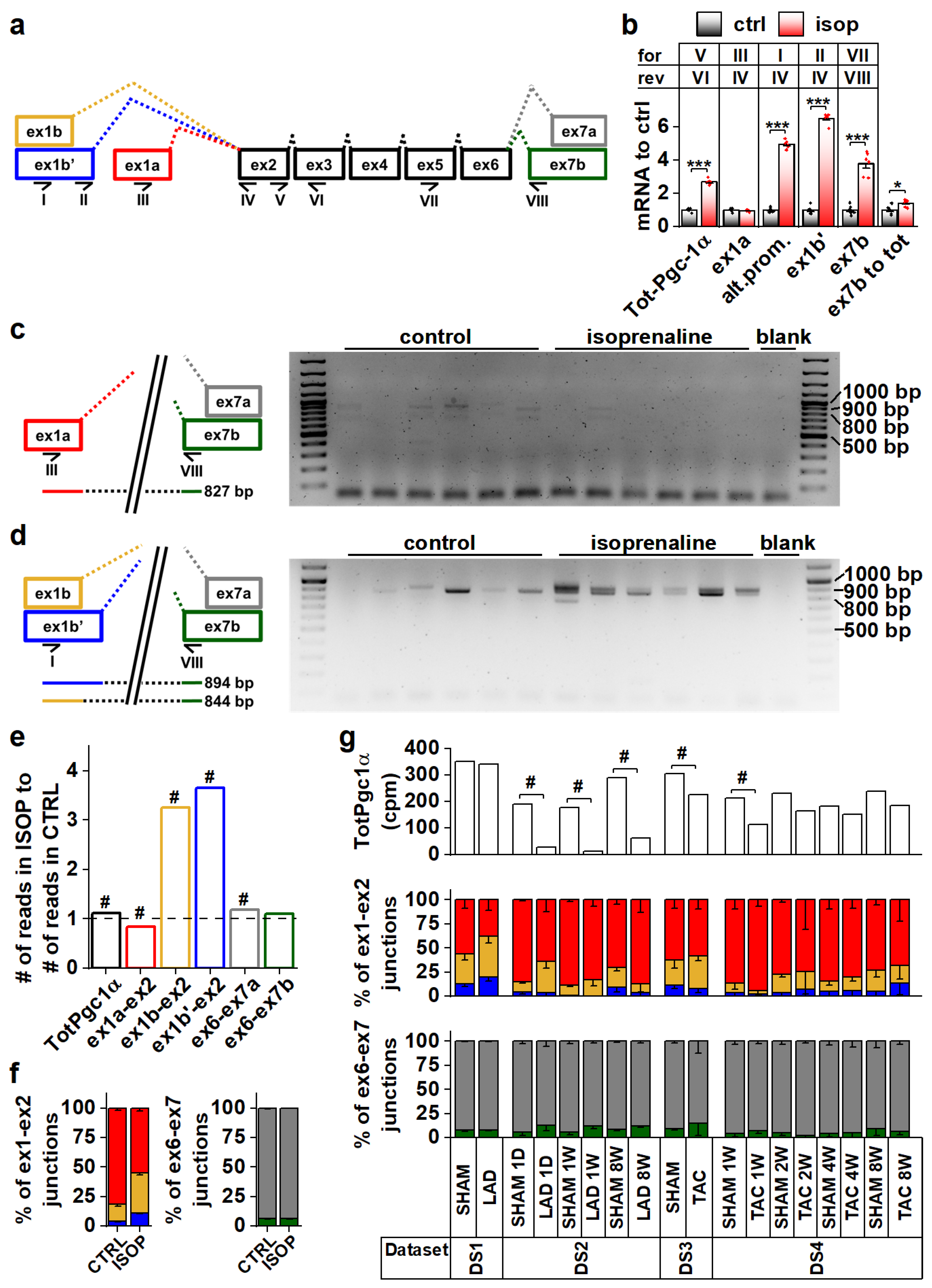 Cells 11 02944 g001 Cells 11 02944 g001