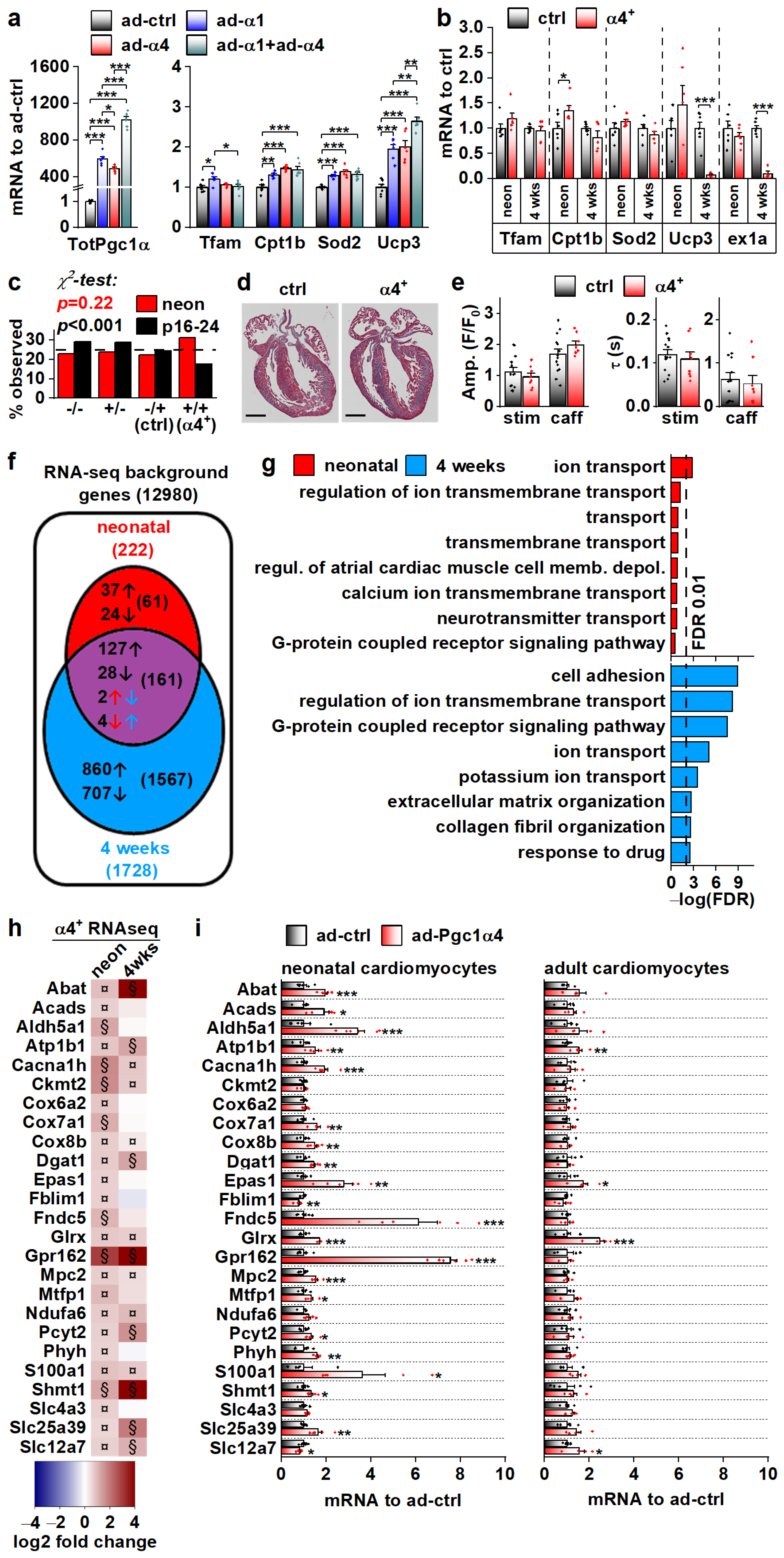 Cells 11 02944 g004 Cells 11 02944 g004