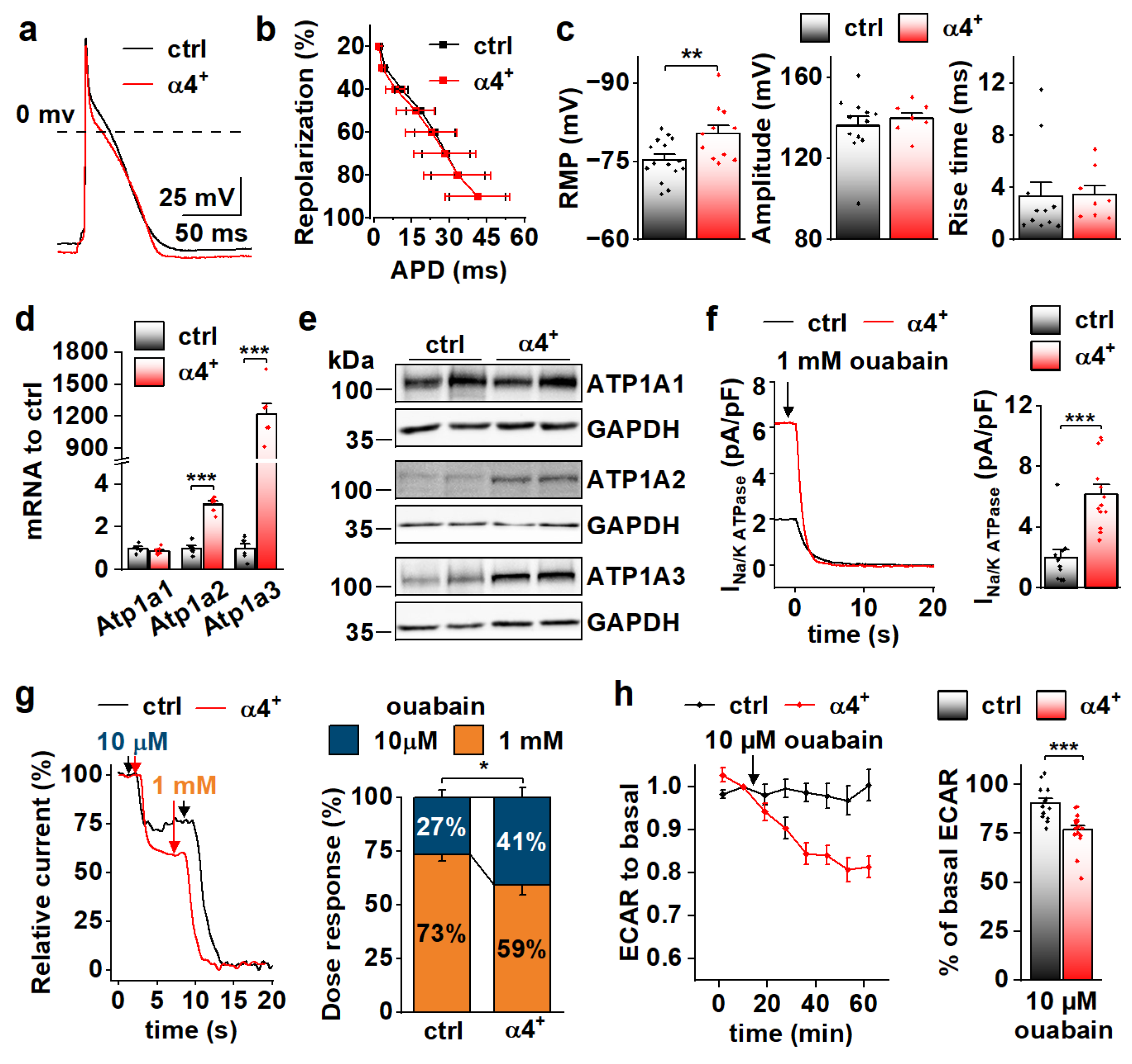 Cells 11 02944 g005 Cells 11 02944 g005
