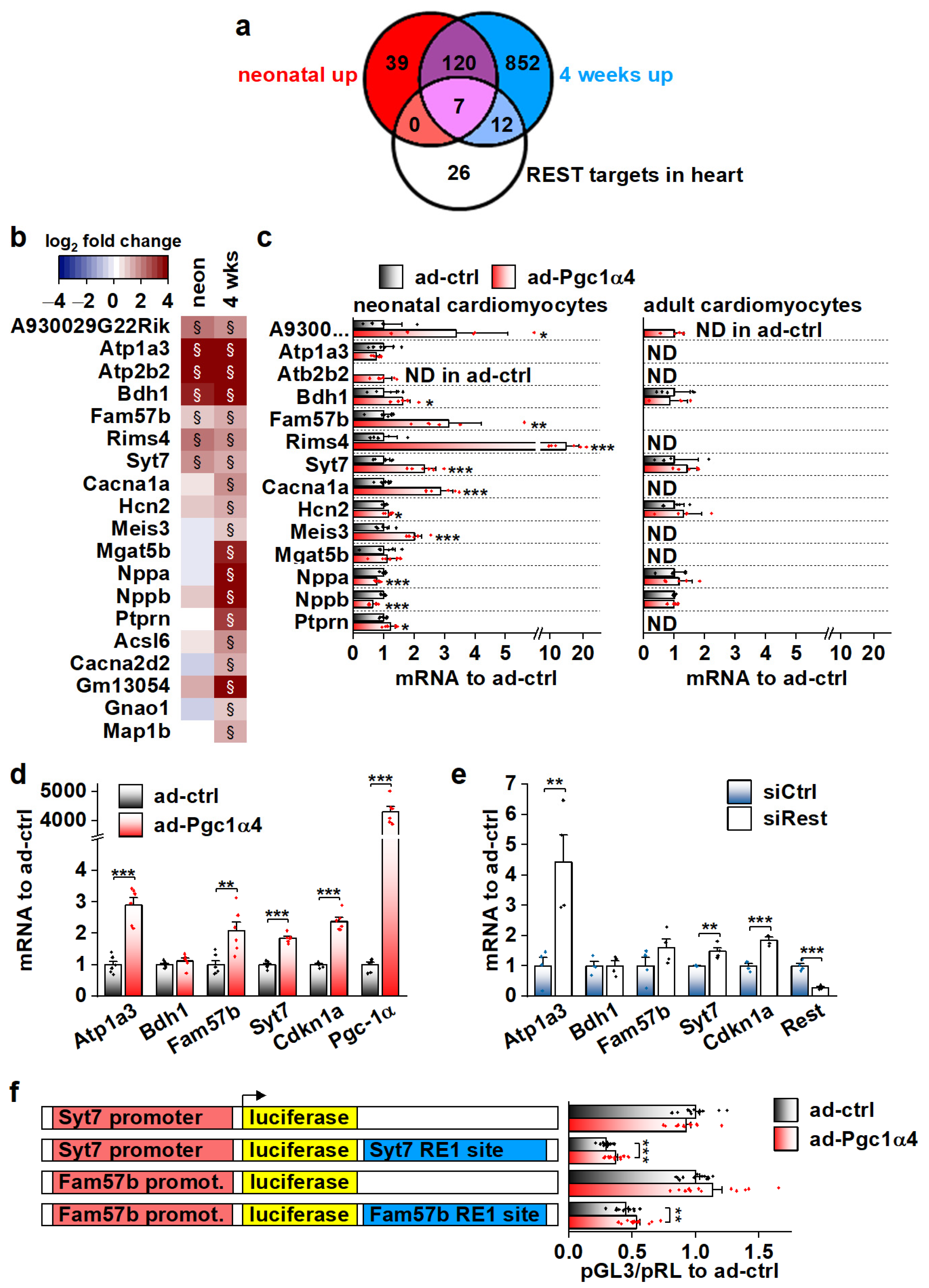 Cells 11 02944 g006 Cells 11 02944 g006