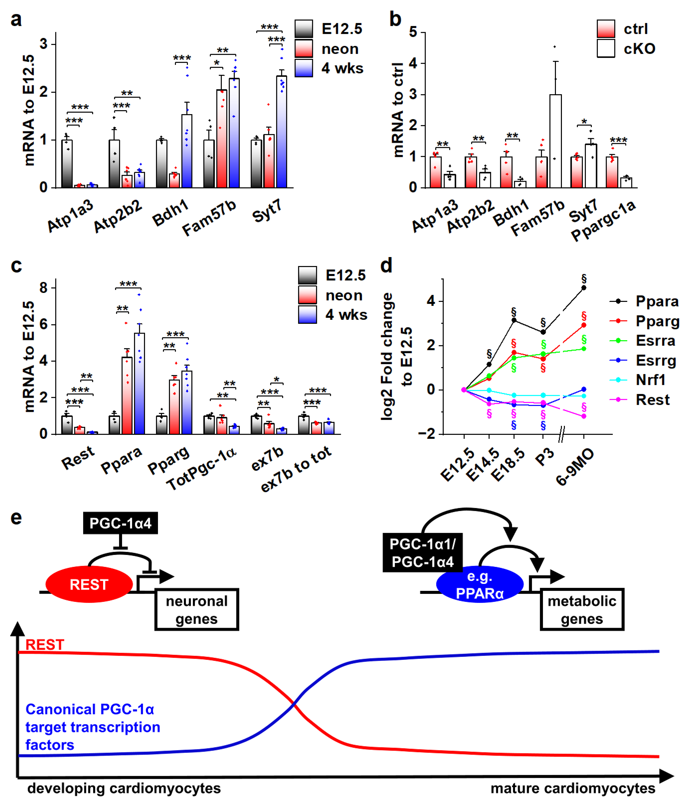 Cells 11 02944 g007 Cells 11 02944 g007