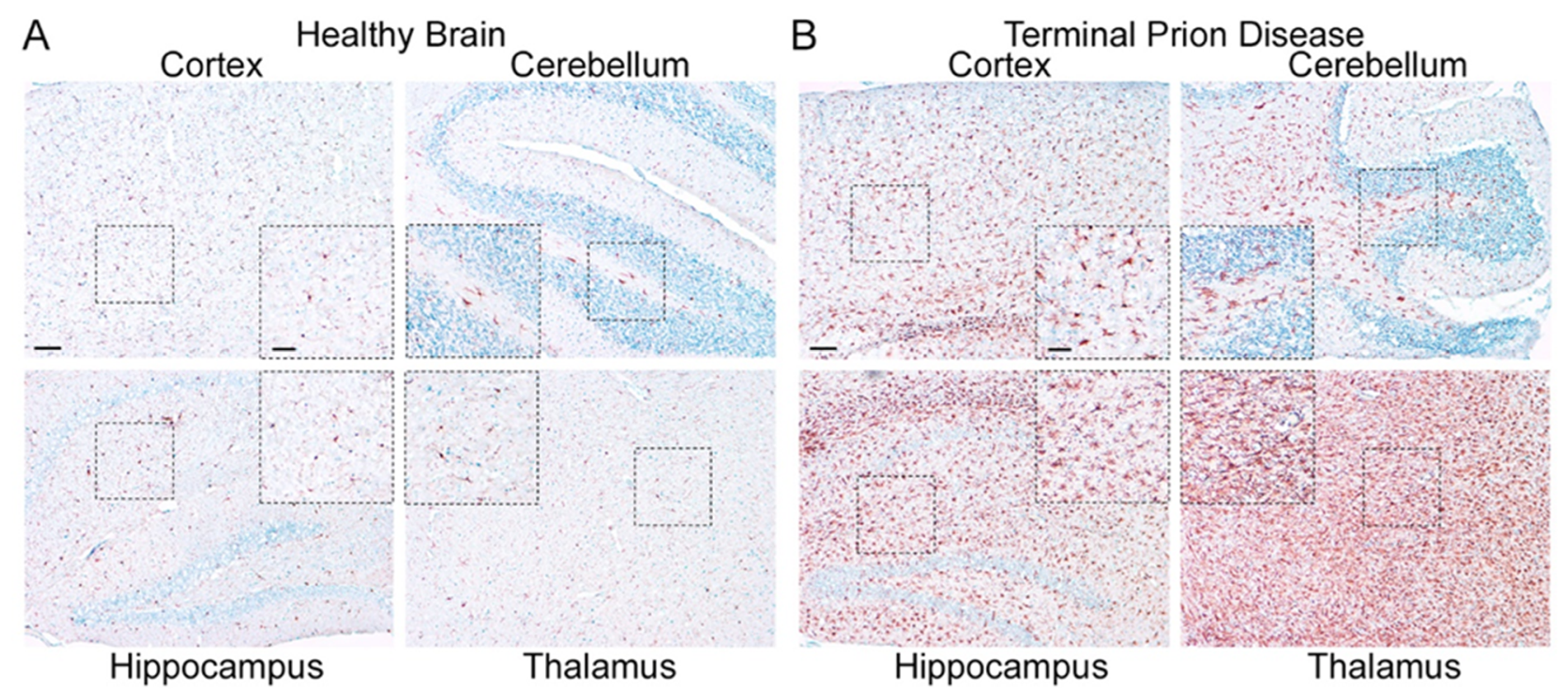 Cells 11 02948 g003 Cells 11 02948 g003